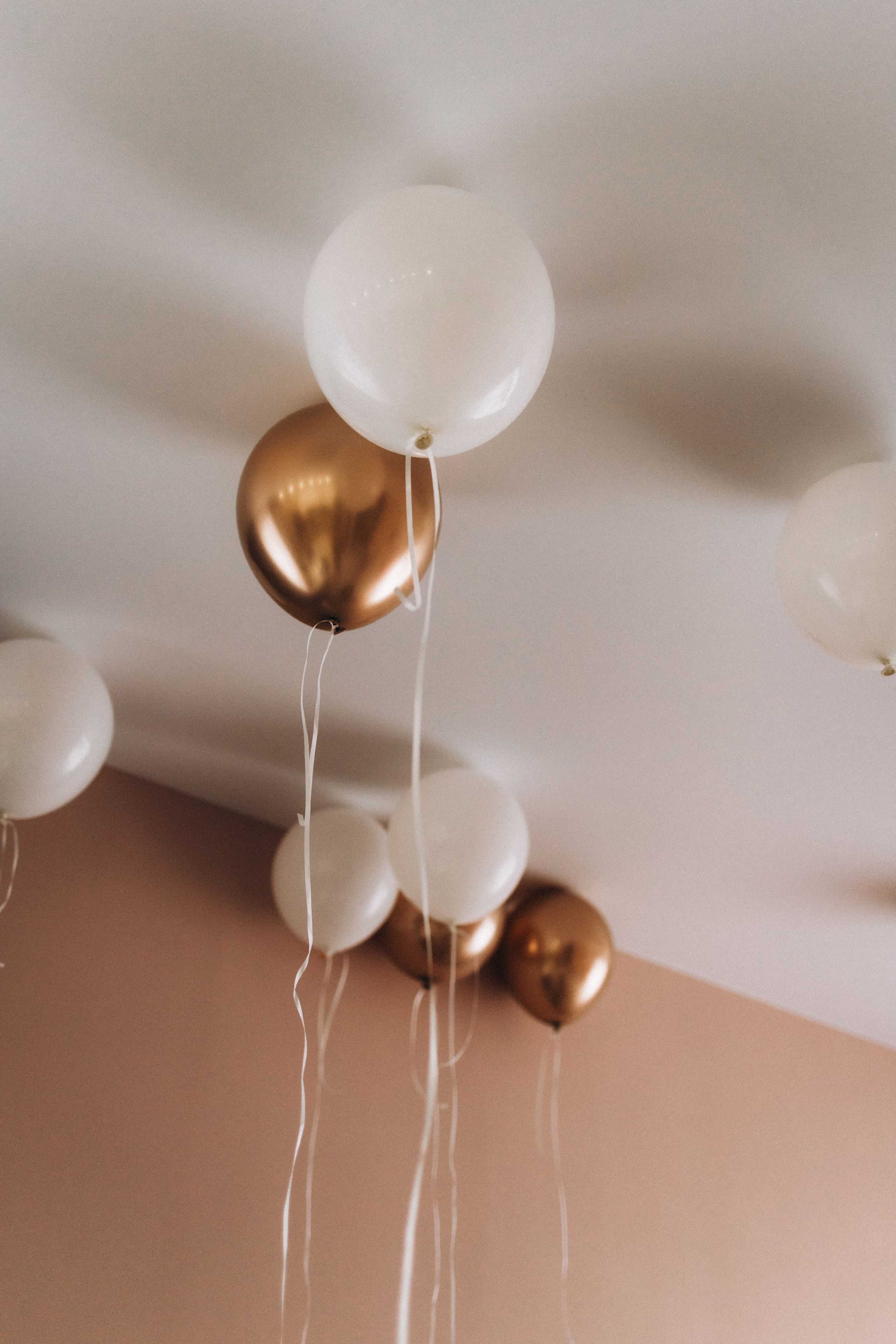 Владимир, Ирина и Алиса