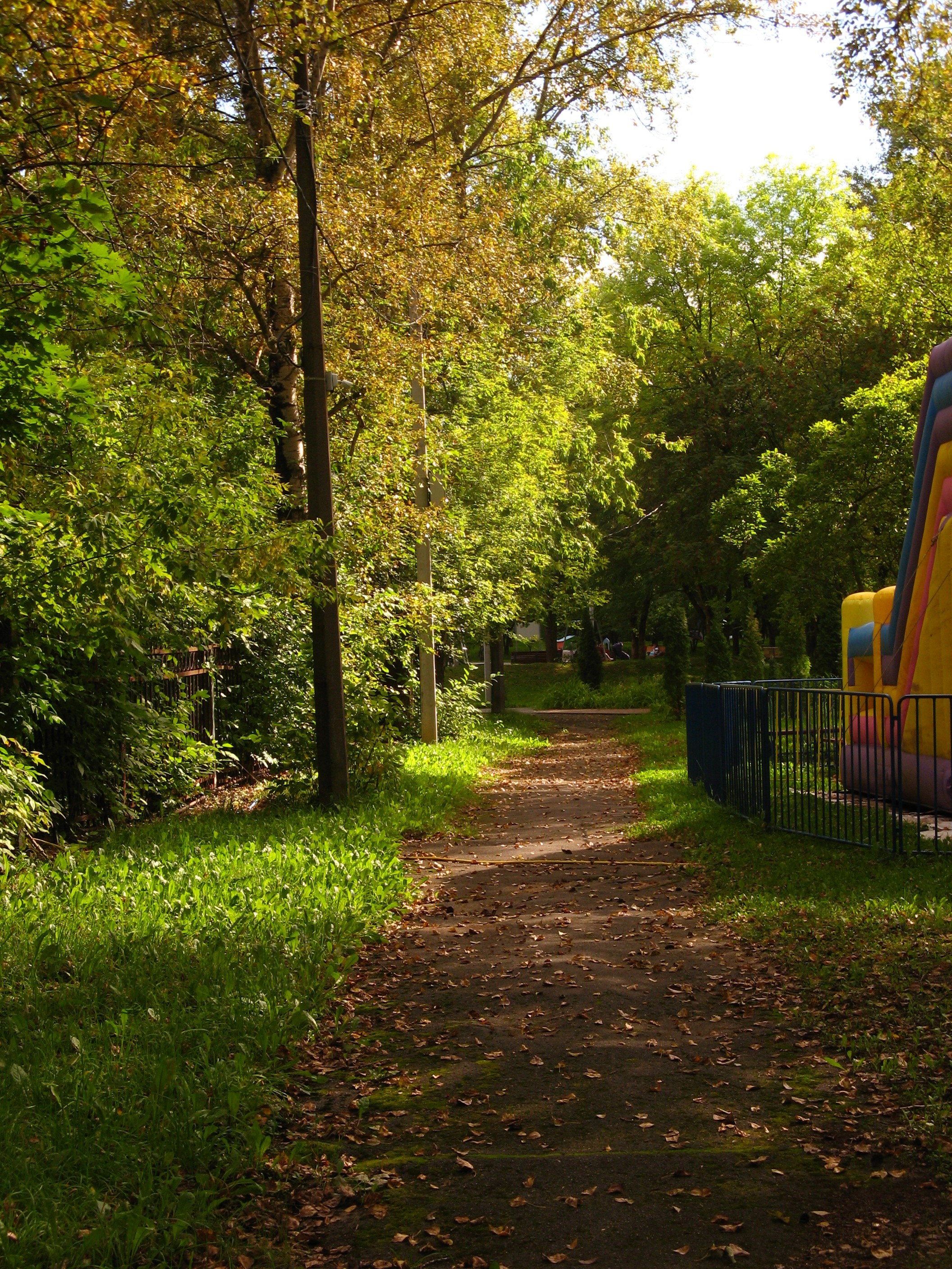 Сентябрь 2025. Den Mirov — Фотограф, Музыкант