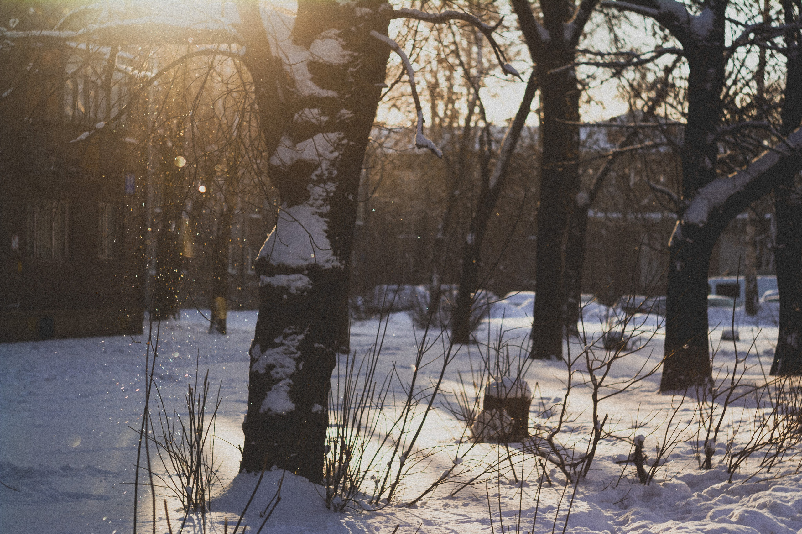 Magnetic storm. Den Mirov — Photographer, Musician