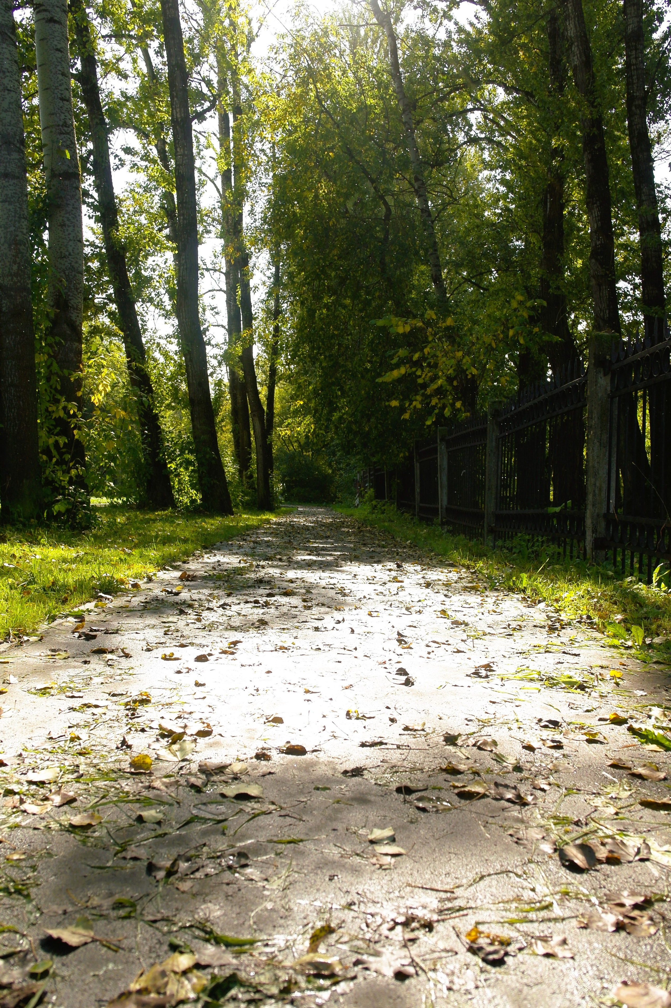 Сентябрь 2025. Den Mirov — Фотограф, Музыкант