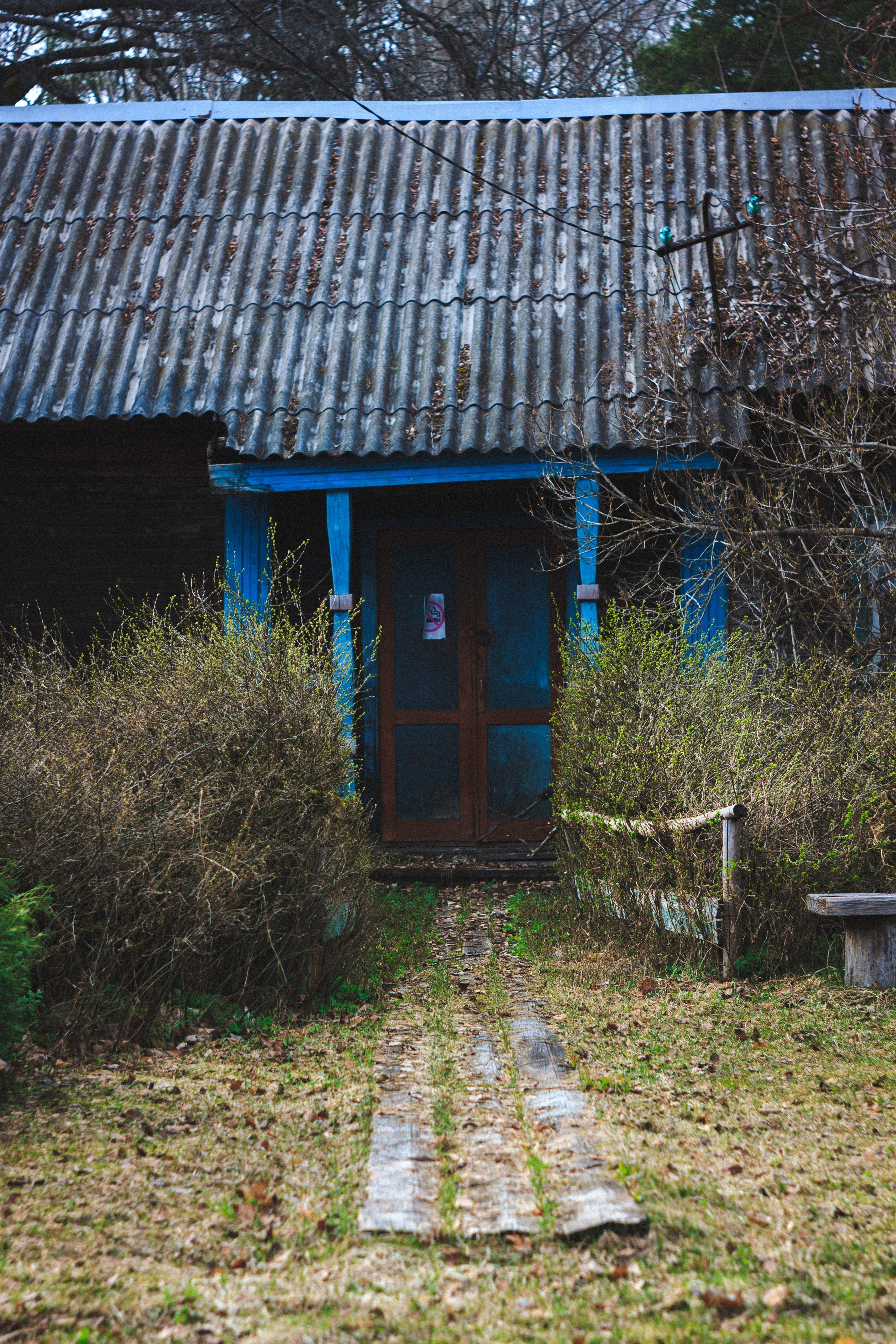 Деревня. Den Mirov — Photographer, Musician