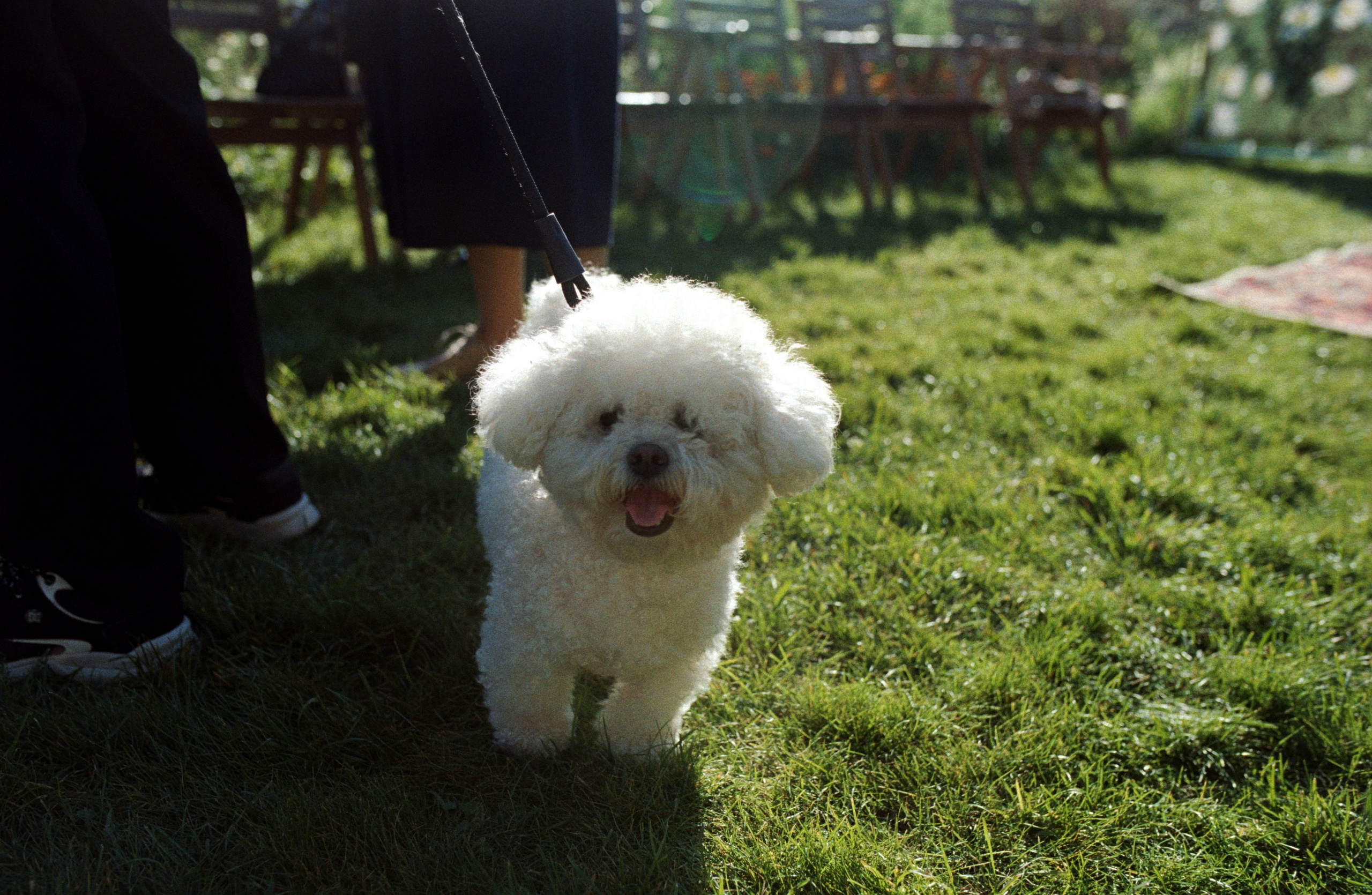 Dilyara & Roman. Фотограф Эмилия Сафиуллина