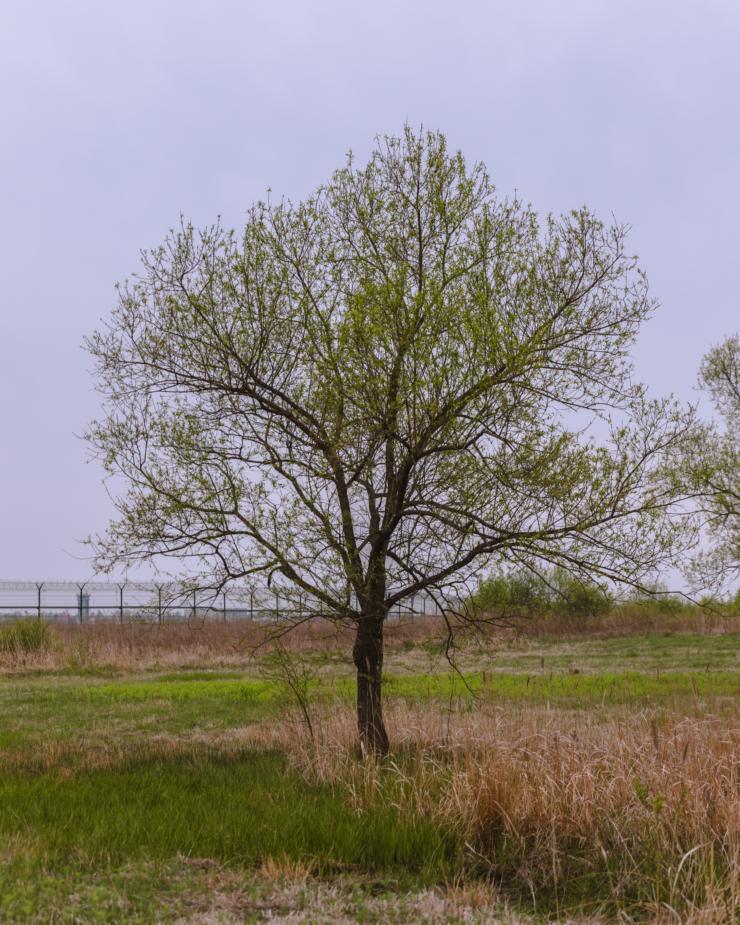 Филипп. ФОТОГРАФ ВО ВЛАДИВОСТОКЕ| СВАДЕБНЫЙ ФОТОГРАФ