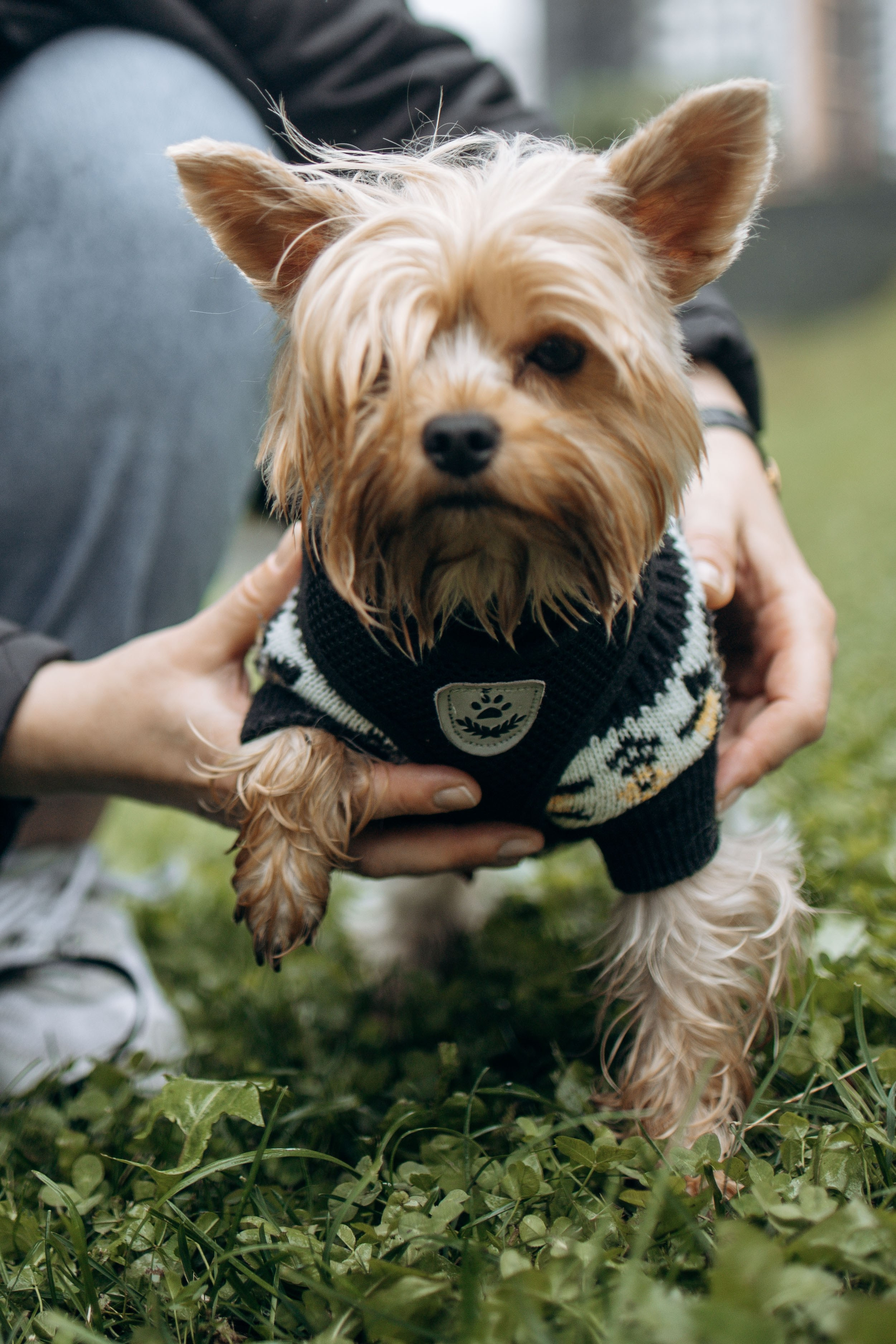 Семья Марины