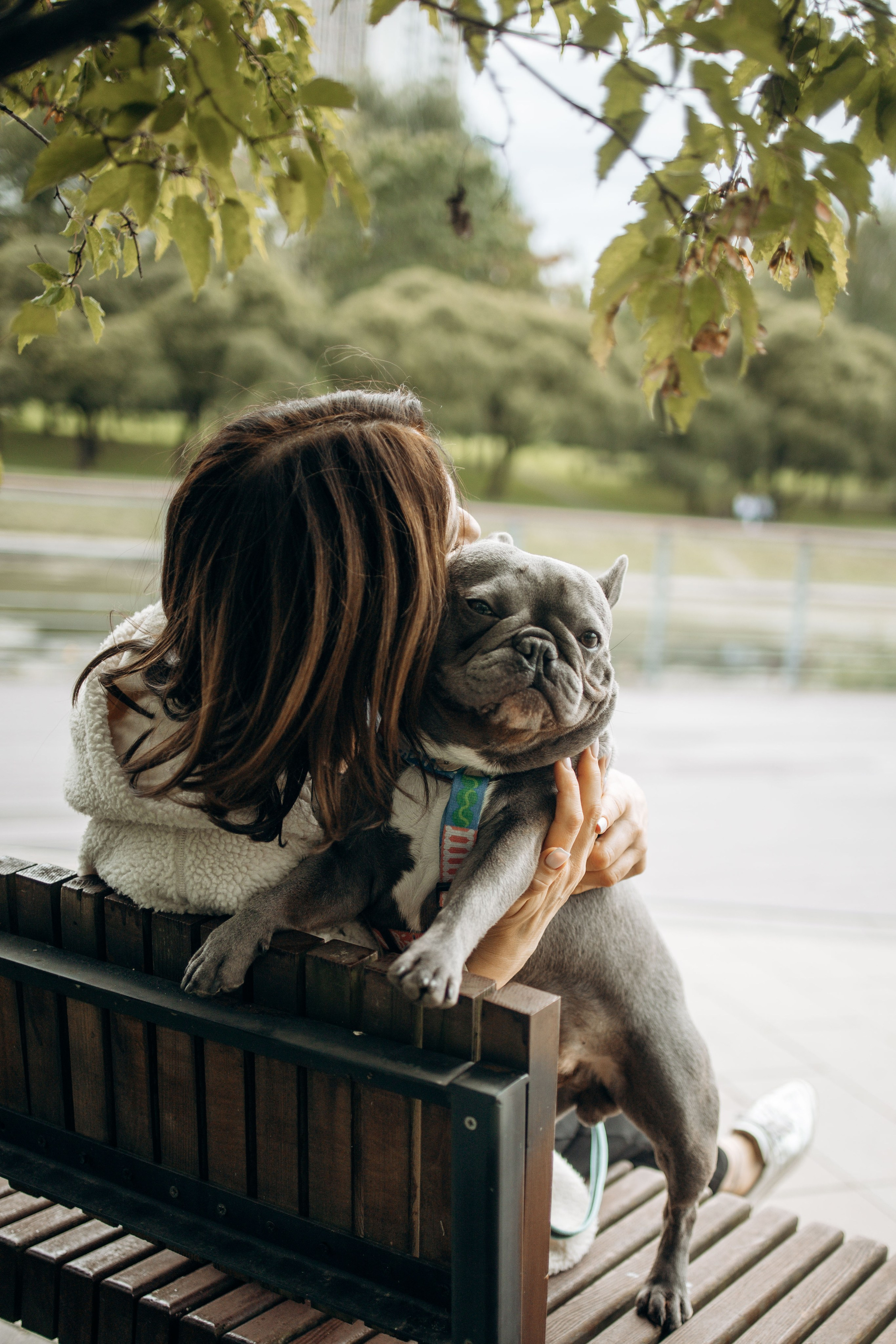 Грей и его семья