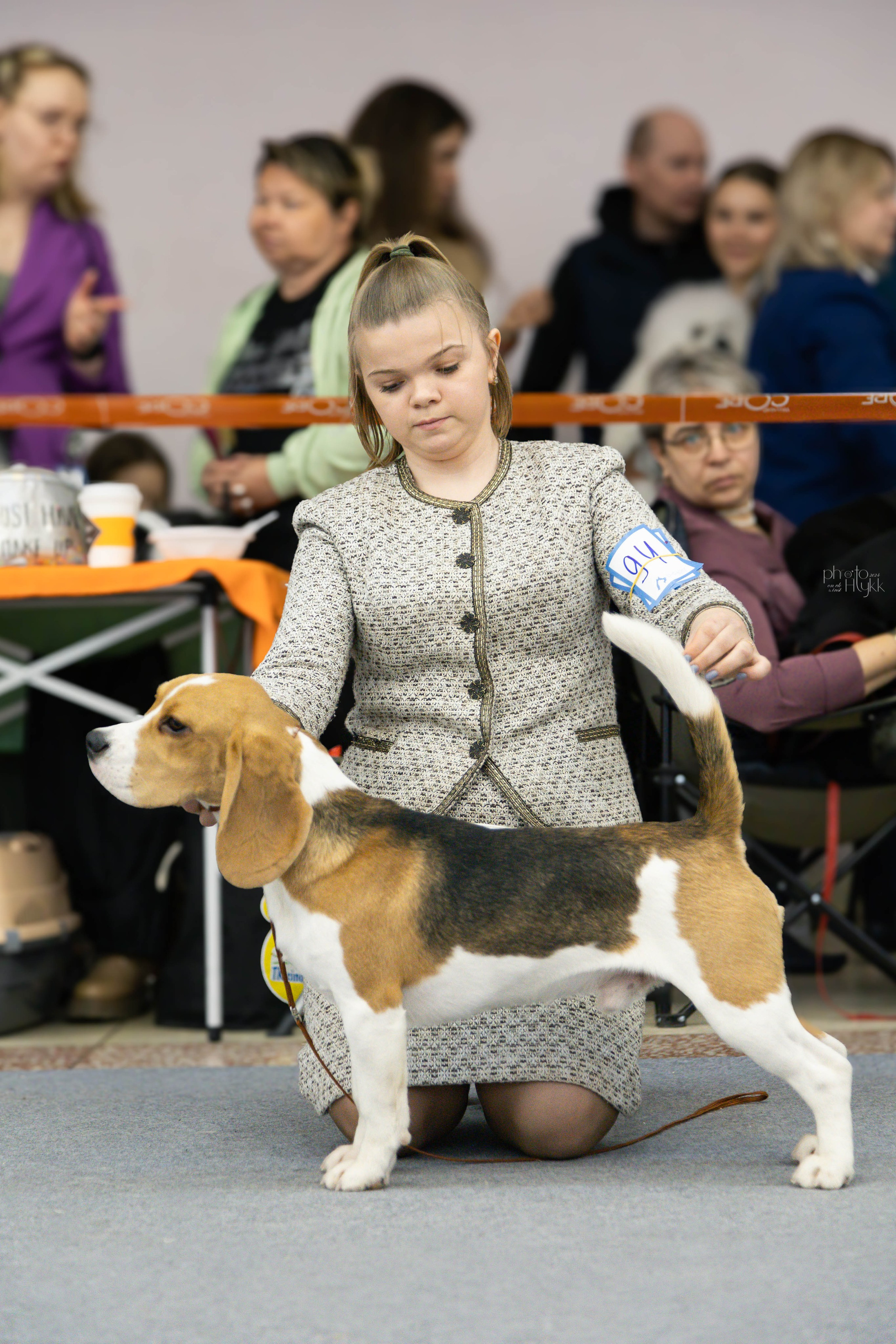 31 марта 2024, Выставка РКФ, г. Пермь. Htykk_photo
