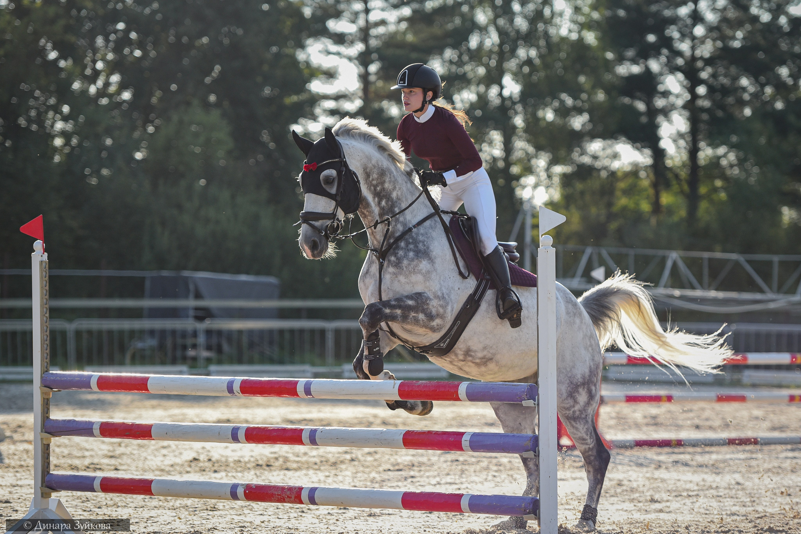 Конкур КЭК Ассамблея. Мотофотограф в Нижнем Новгороде Динара Зуйкова