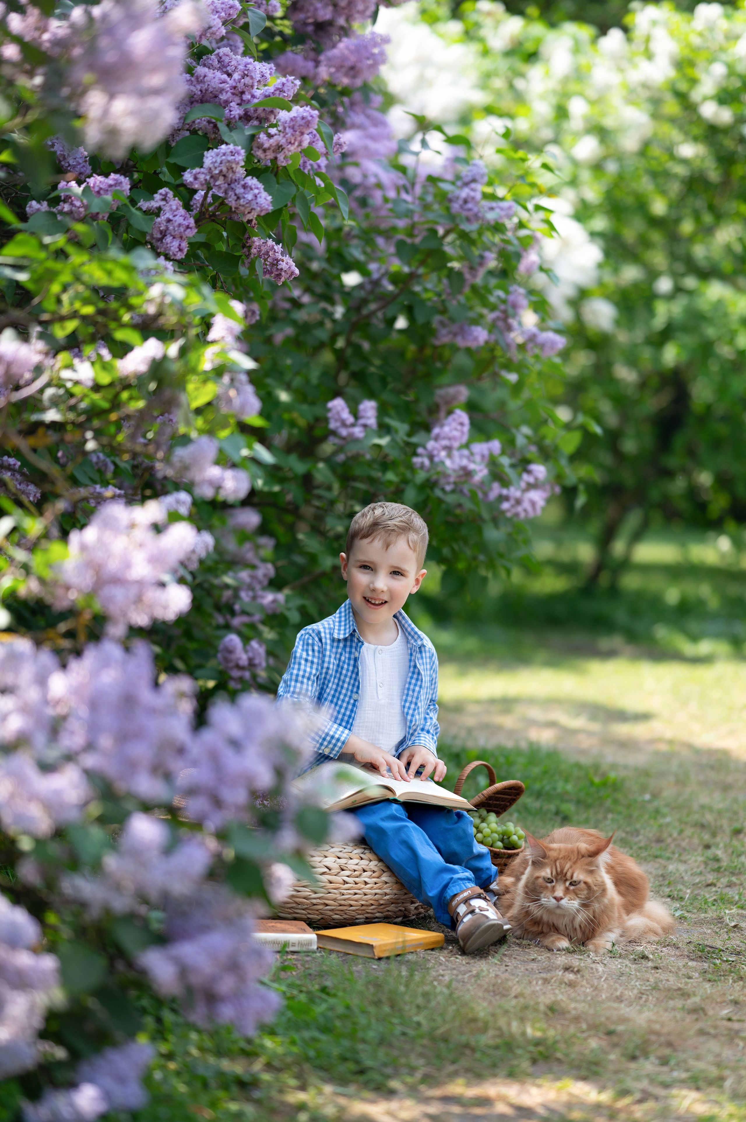 Сирень. Детский и семейный фотограф г. Москва Оксана Катаджи