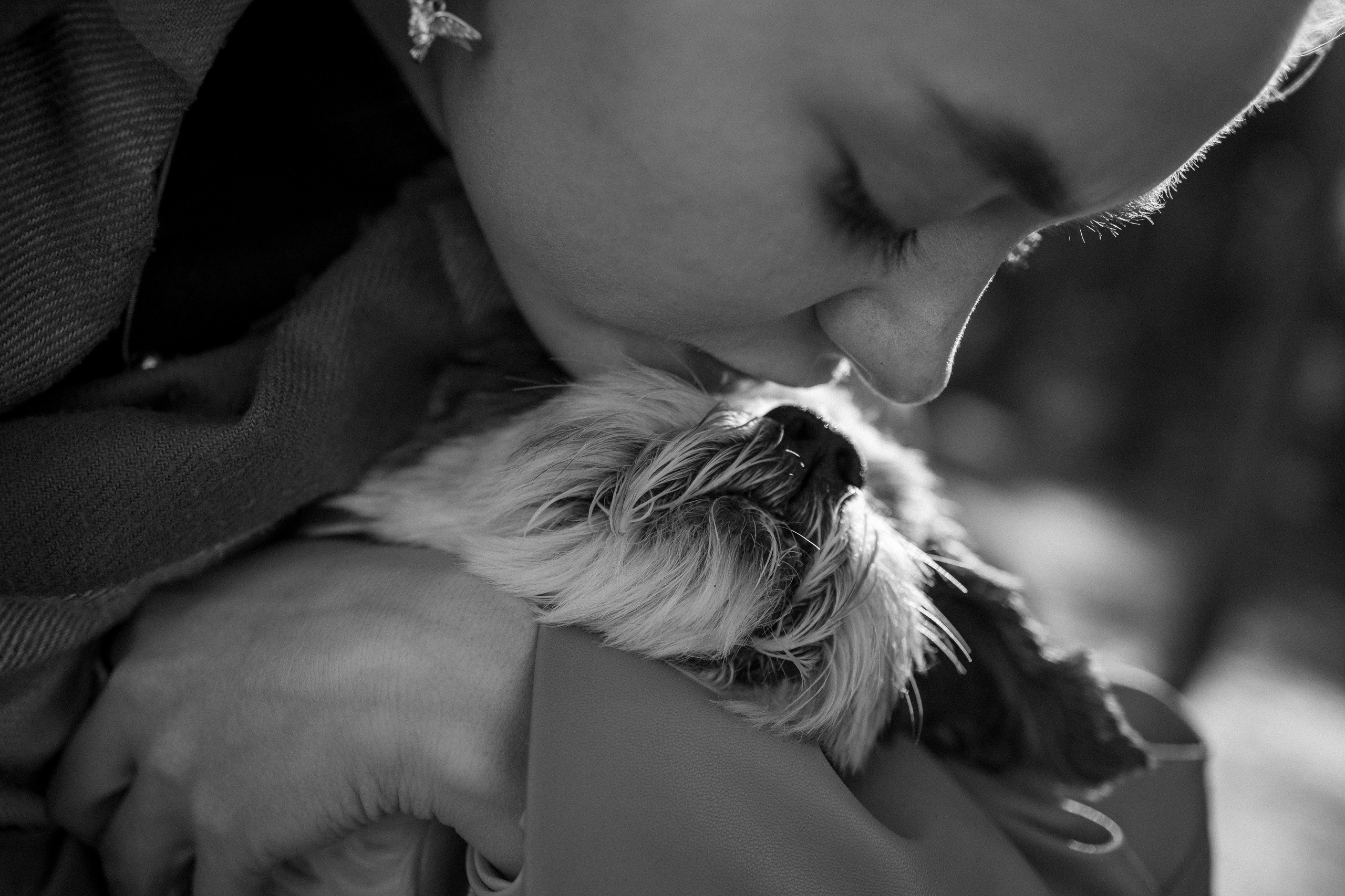 Настя и Франт. Фотограф — Анималист | Санкт-Петербург