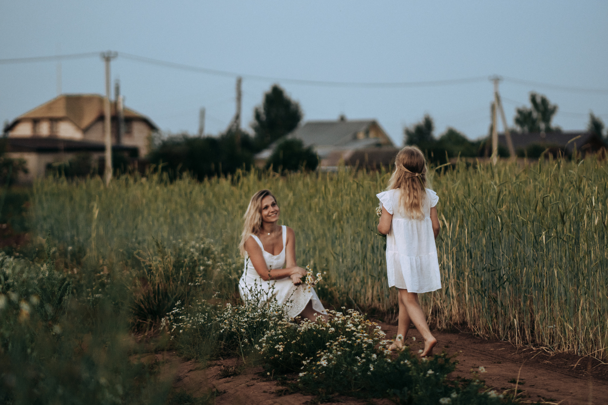 Девочка делает букет из ромашек для мамы на закате