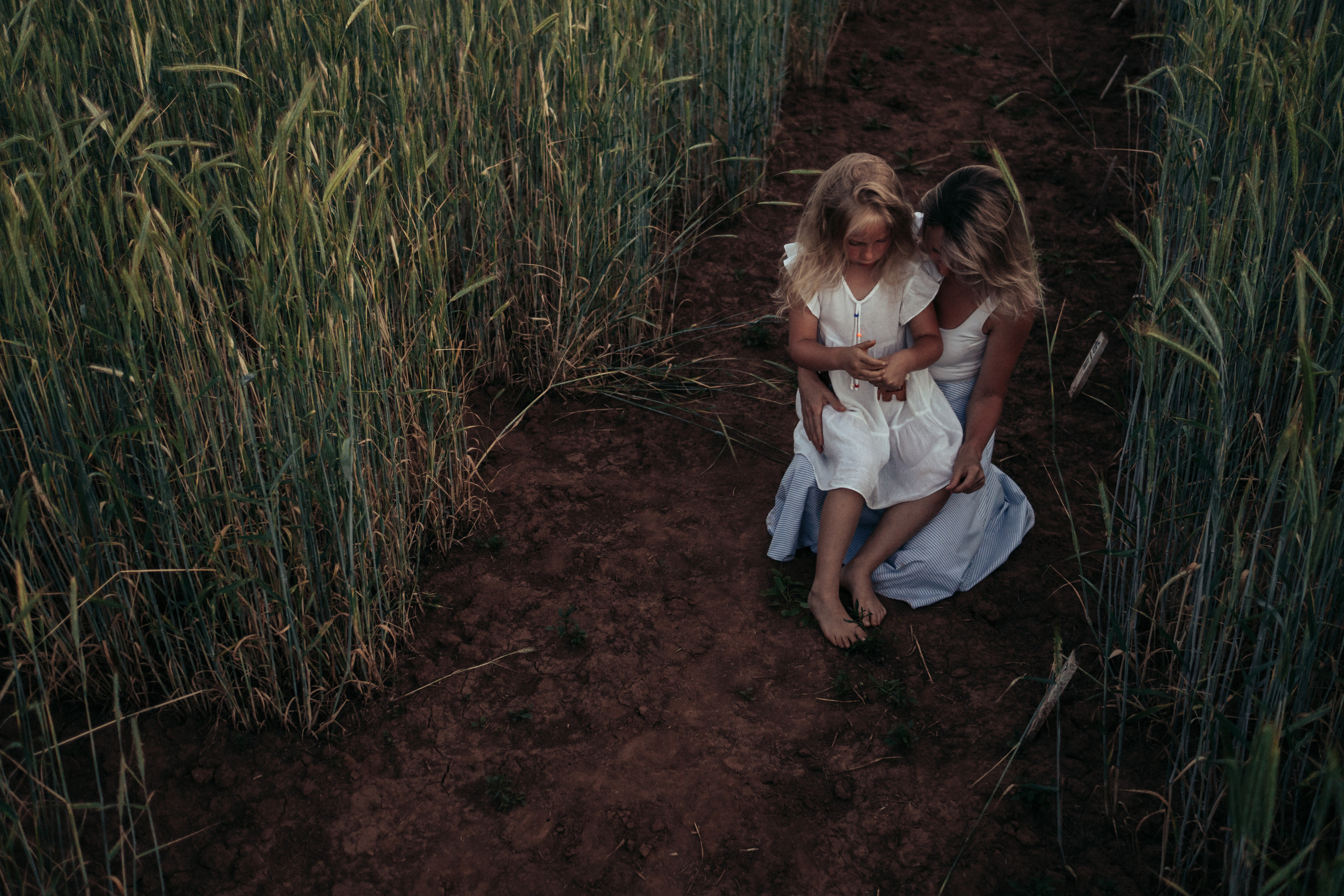 Фотосессия в поле на закате. Семейный и детский фотограф в Санкт-Петербурге Наталья Григорьева