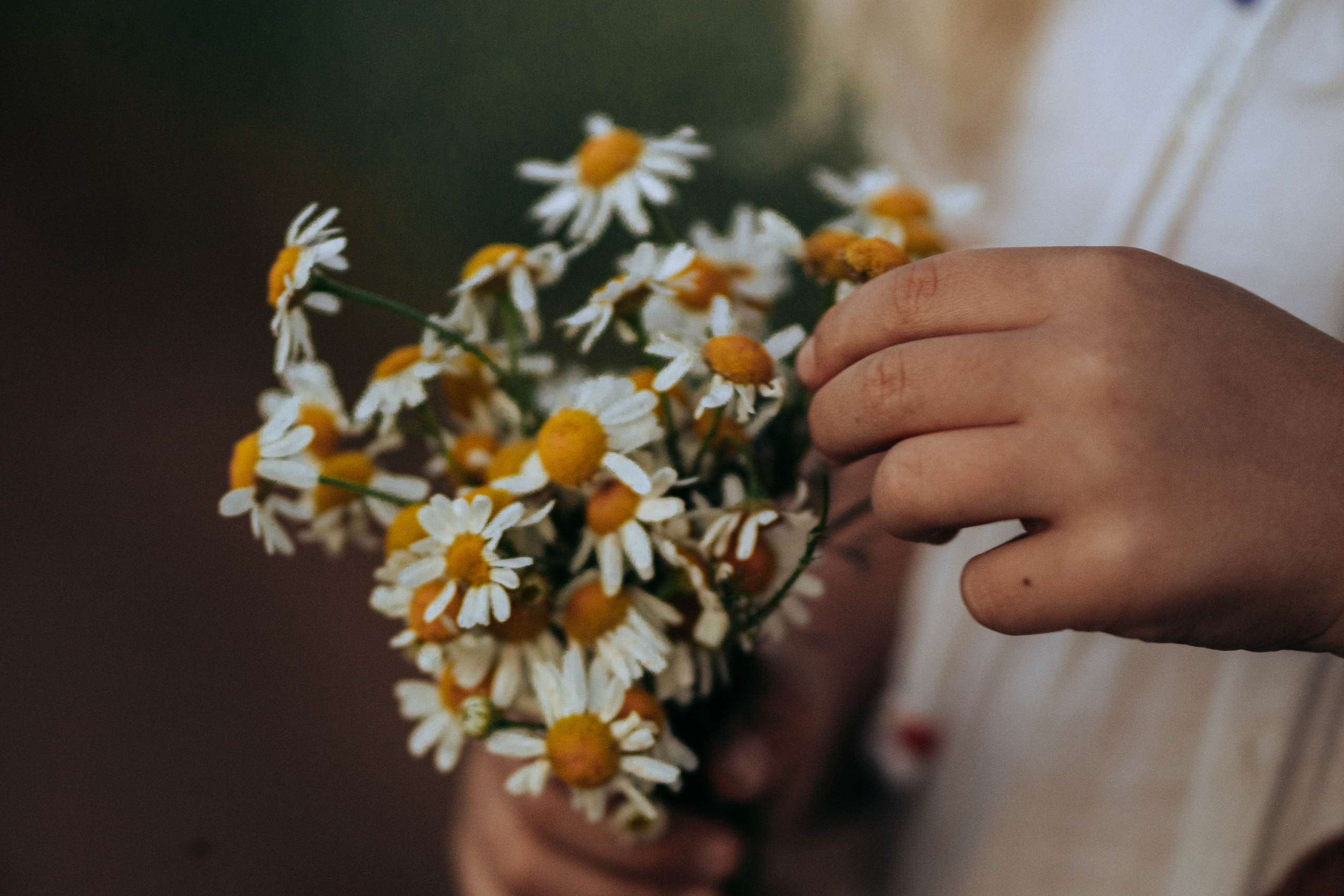 Фотосессия в поле на закате. Семейный и детский фотограф в Санкт-Петербурге Наталья Григорьева
