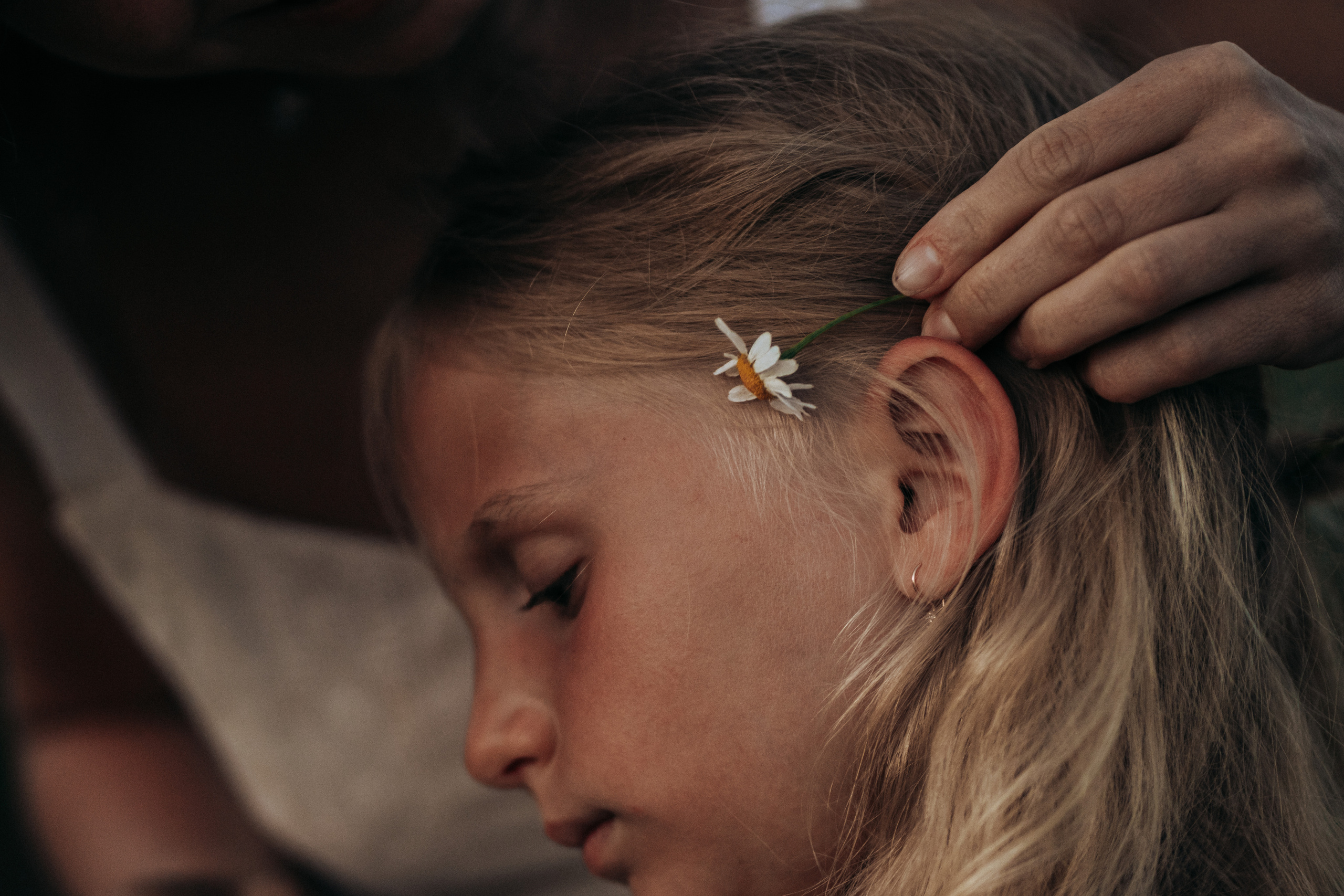 Фотосессия в поле на закате. Семейный и детский фотограф в Санкт-Петербурге Наталья Григорьева