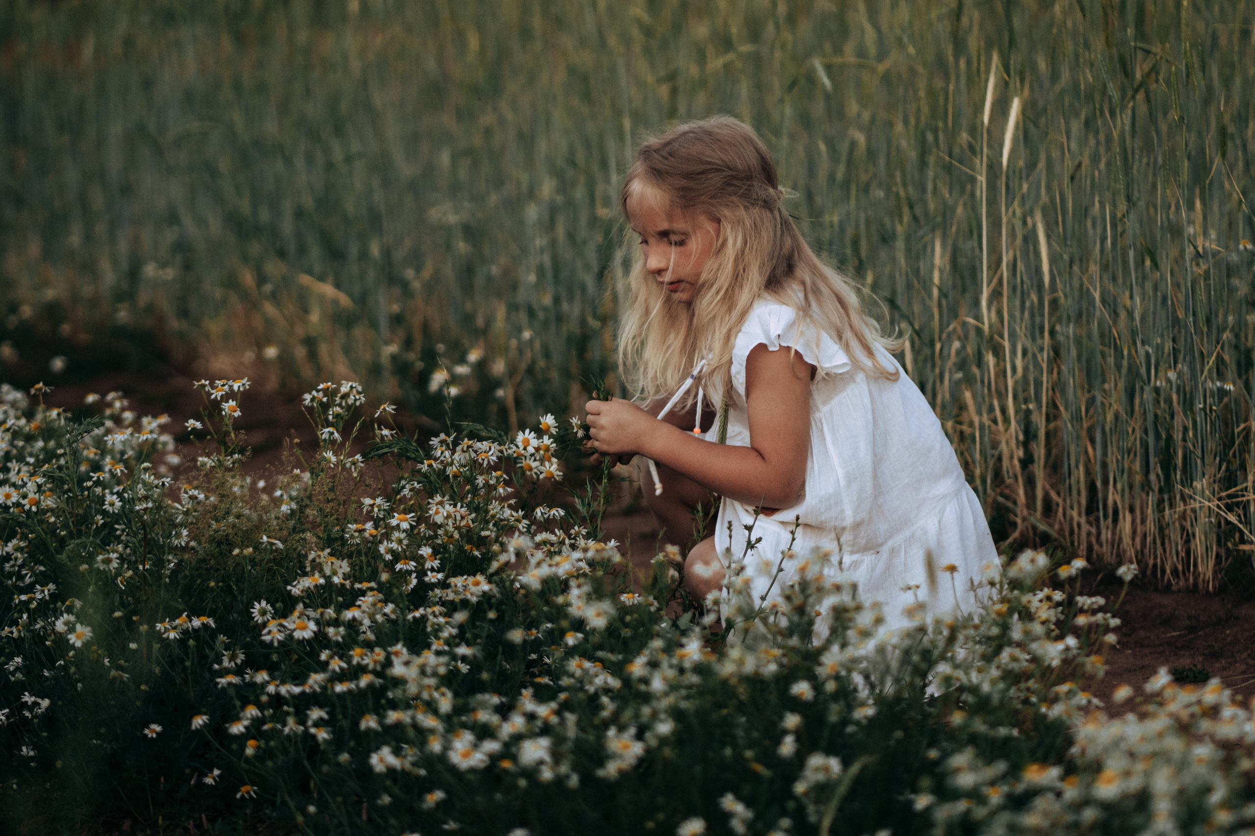 Фотосессия в поле на закате. Семейный и детский фотограф в Санкт-Петербурге Наталья Григорьева