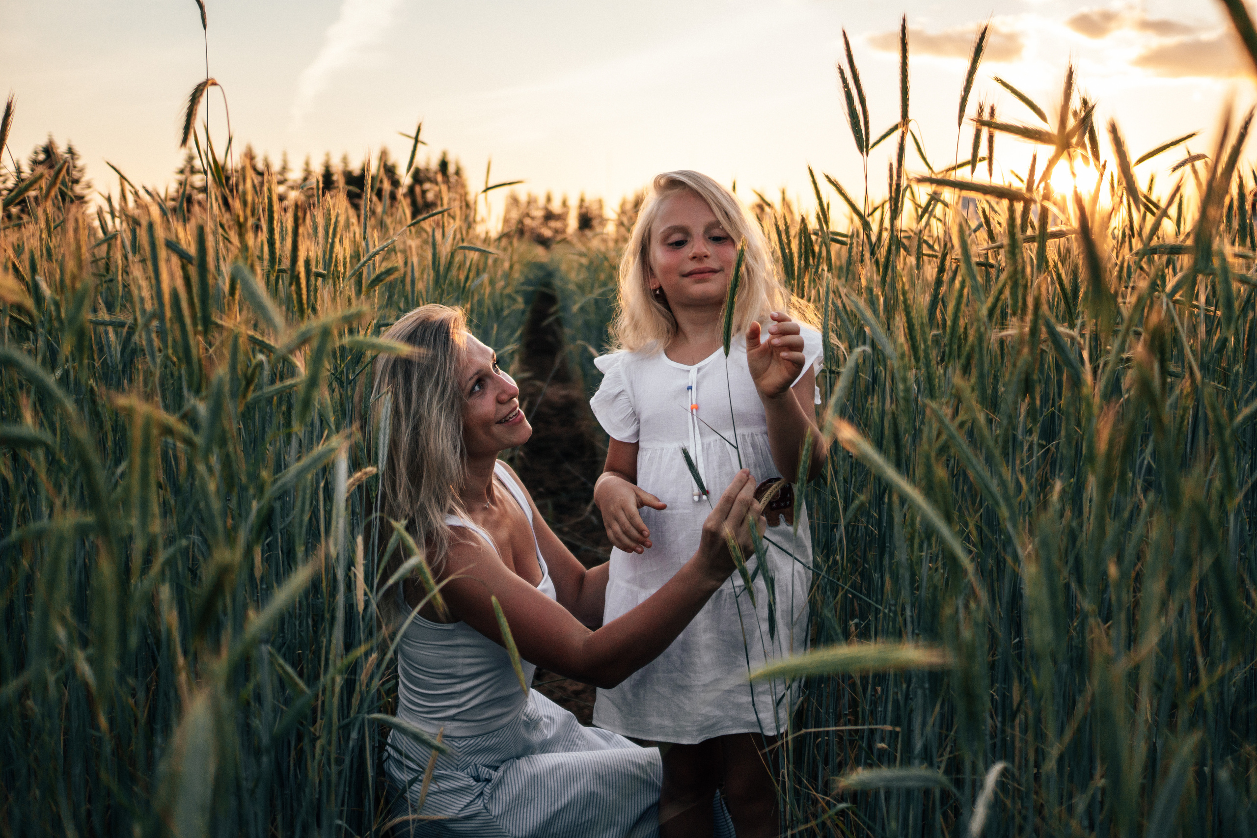 Фотосессия в поле на закате. Семейный и детский фотограф в Санкт-Петербурге Наталья Григорьева