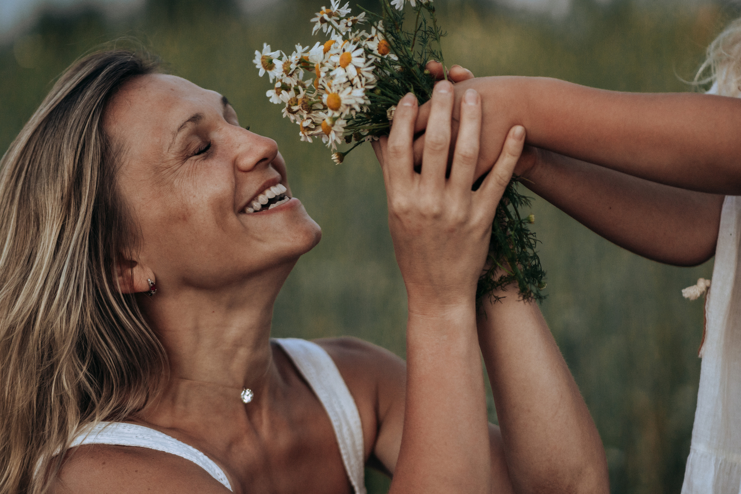 Девочка делает букет из ромашек для мамы на закате