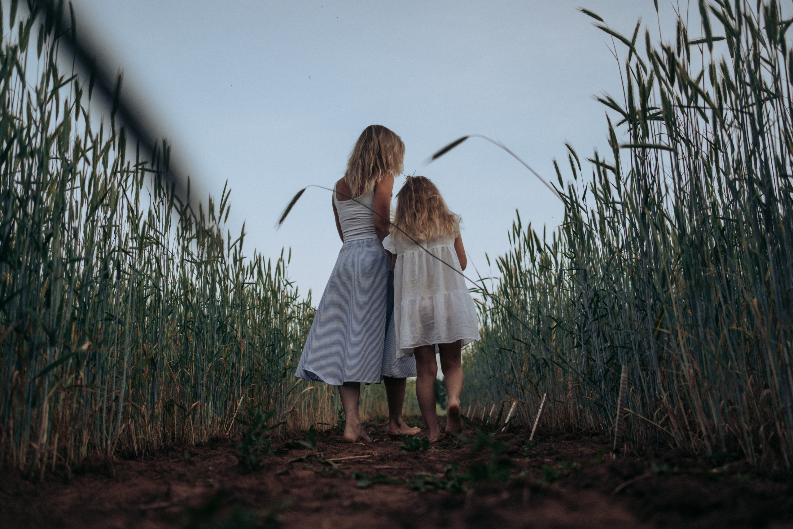 Фотосессия в поле на закате. Семейный и детский фотограф в Санкт-Петербурге Наталья Григорьева