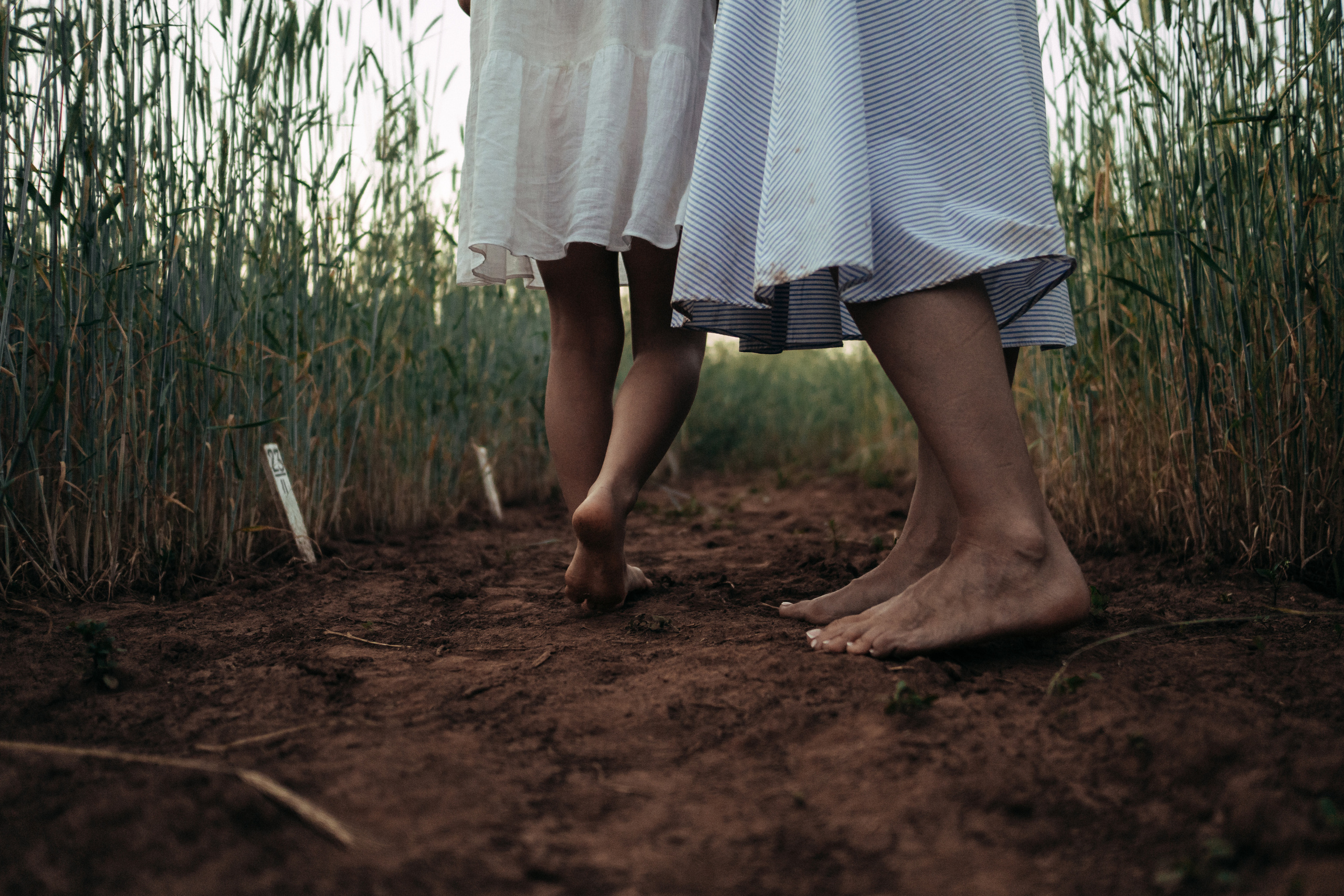 Фотосессия в поле на закате. Семейный и детский фотограф в Санкт-Петербурге Наталья Григорьева