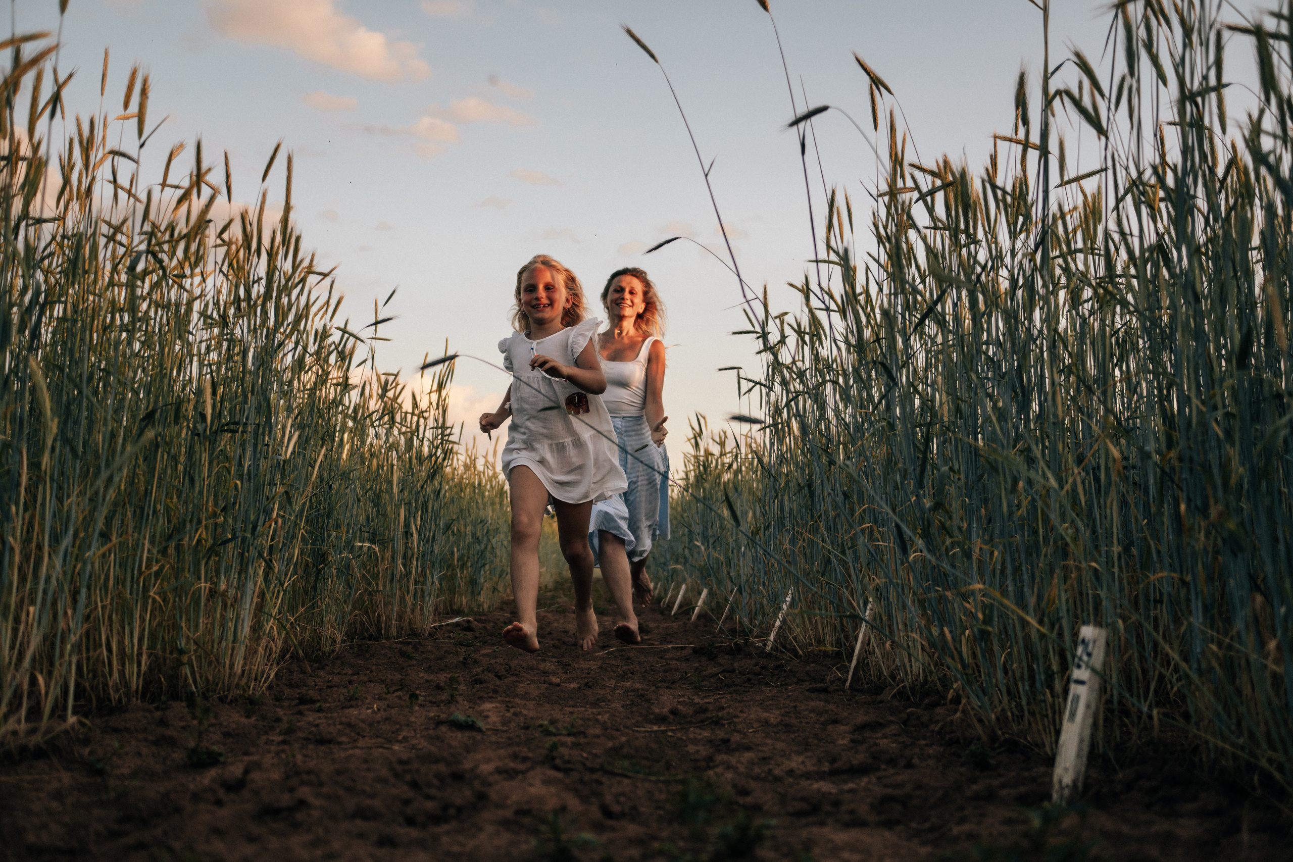 Фотосессия в поле на закате. Семейный и детский фотограф в Санкт-Петербурге Наталья Григорьева