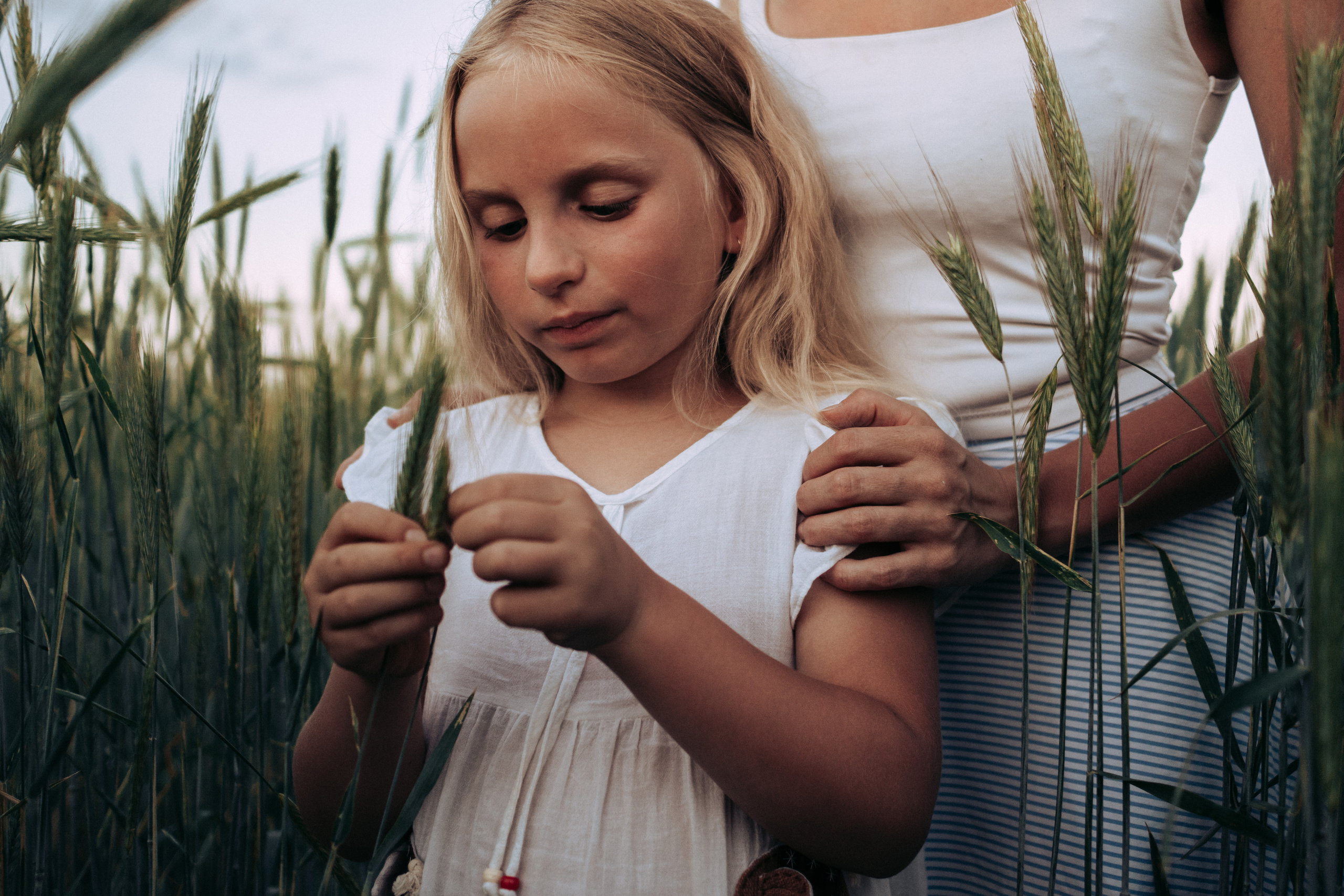 Фотосессия в поле на закате. Семейный и детский фотограф в Санкт-Петербурге Наталья Григорьева