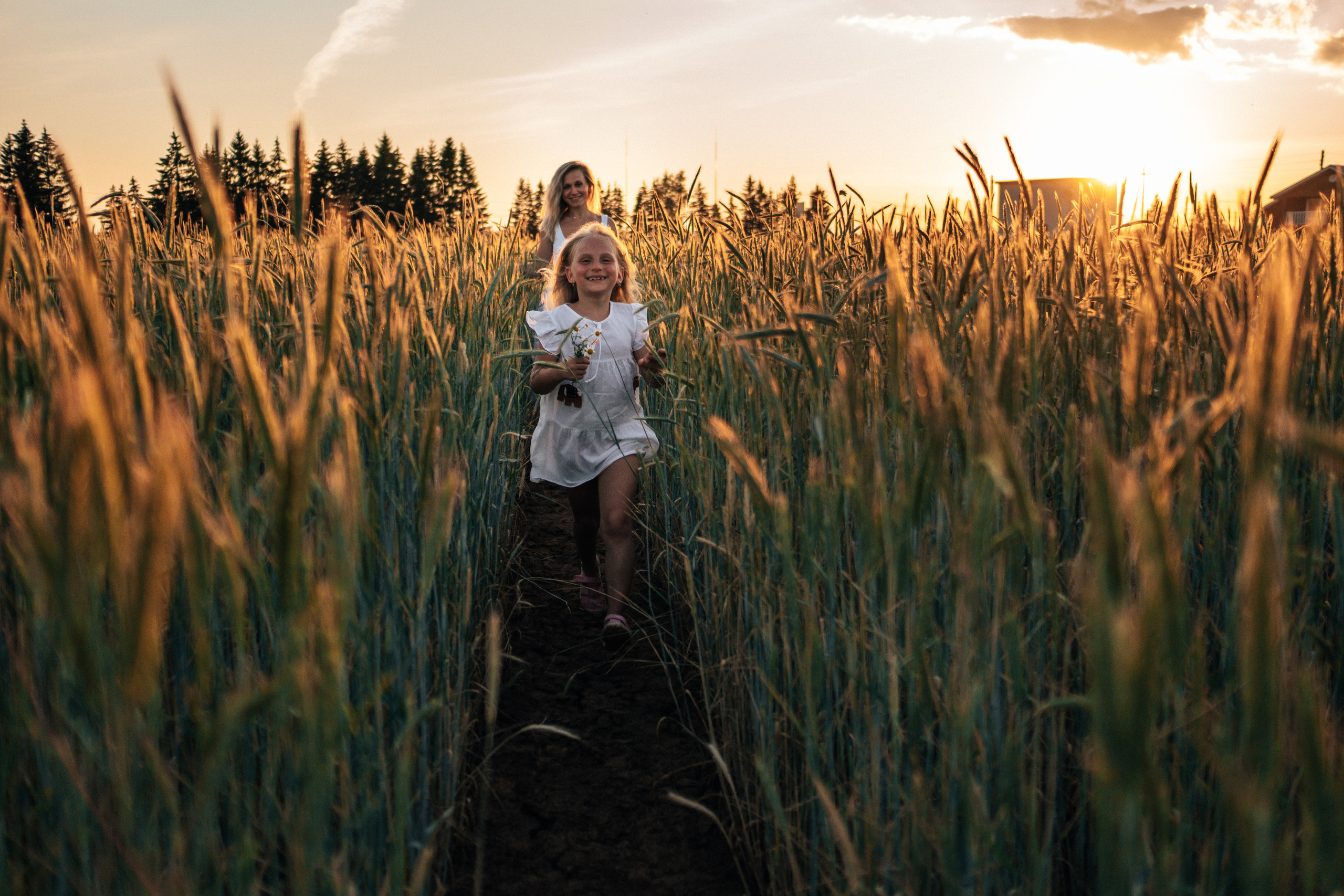 Фотосессия в поле на закате. Семейный и детский фотограф в Санкт-Петербурге Наталья Григорьева