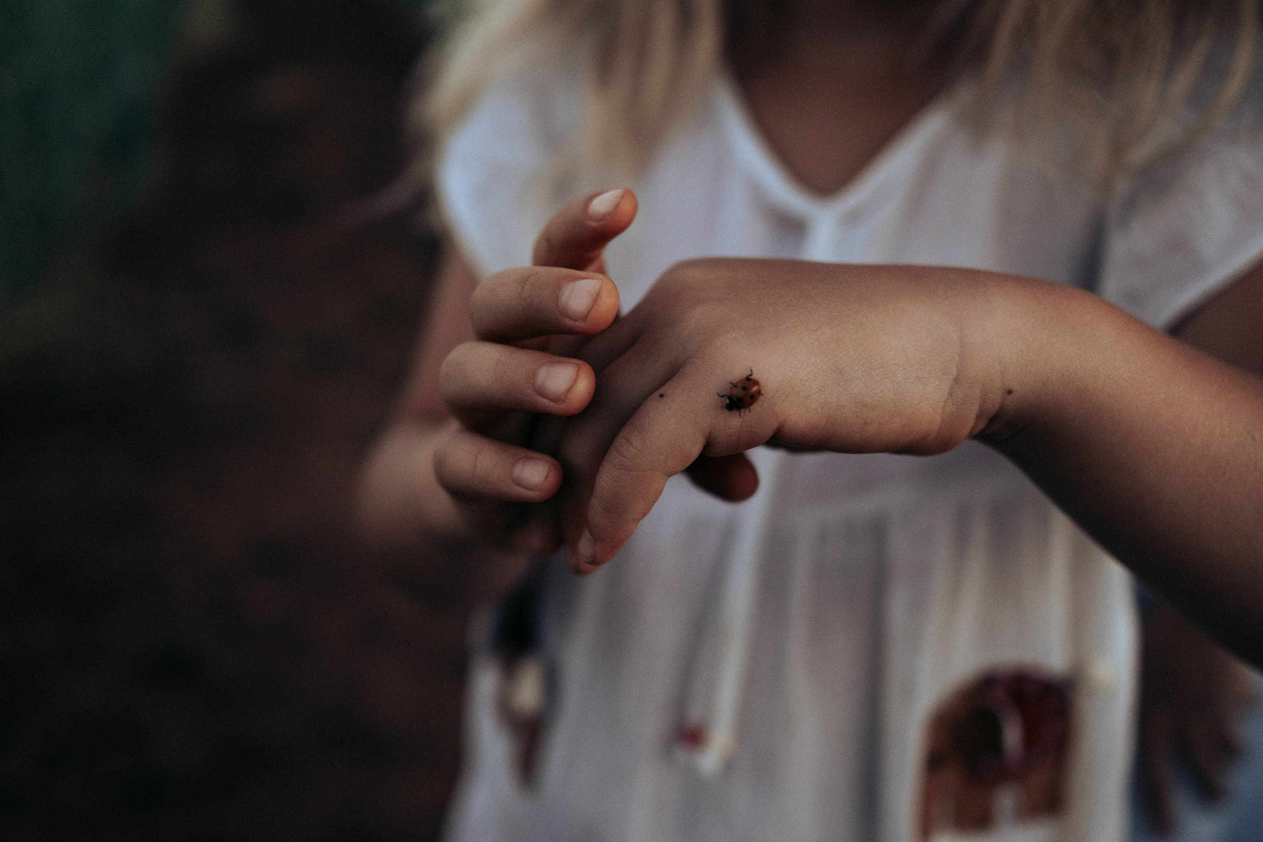 Фотосессия в поле на закате. Семейный и детский фотограф в Санкт-Петербурге Наталья Григорьева