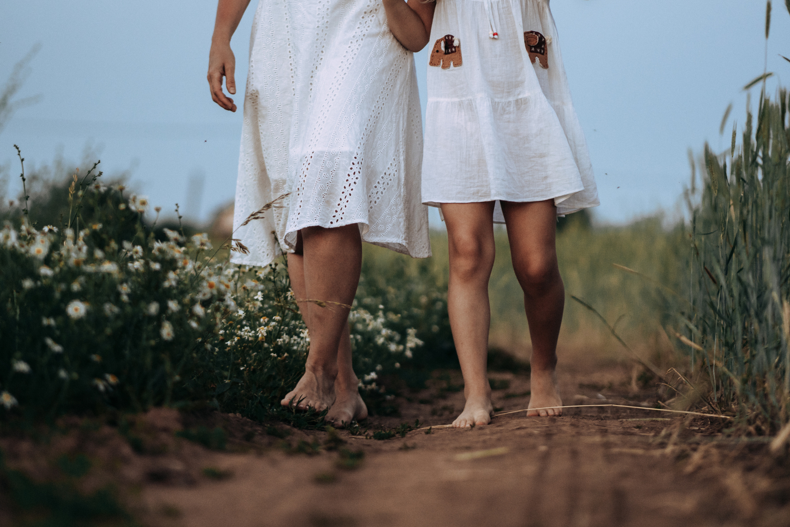 Фотосессия в поле на закате. Семейный и детский фотограф в Санкт-Петербурге Наталья Григорьева