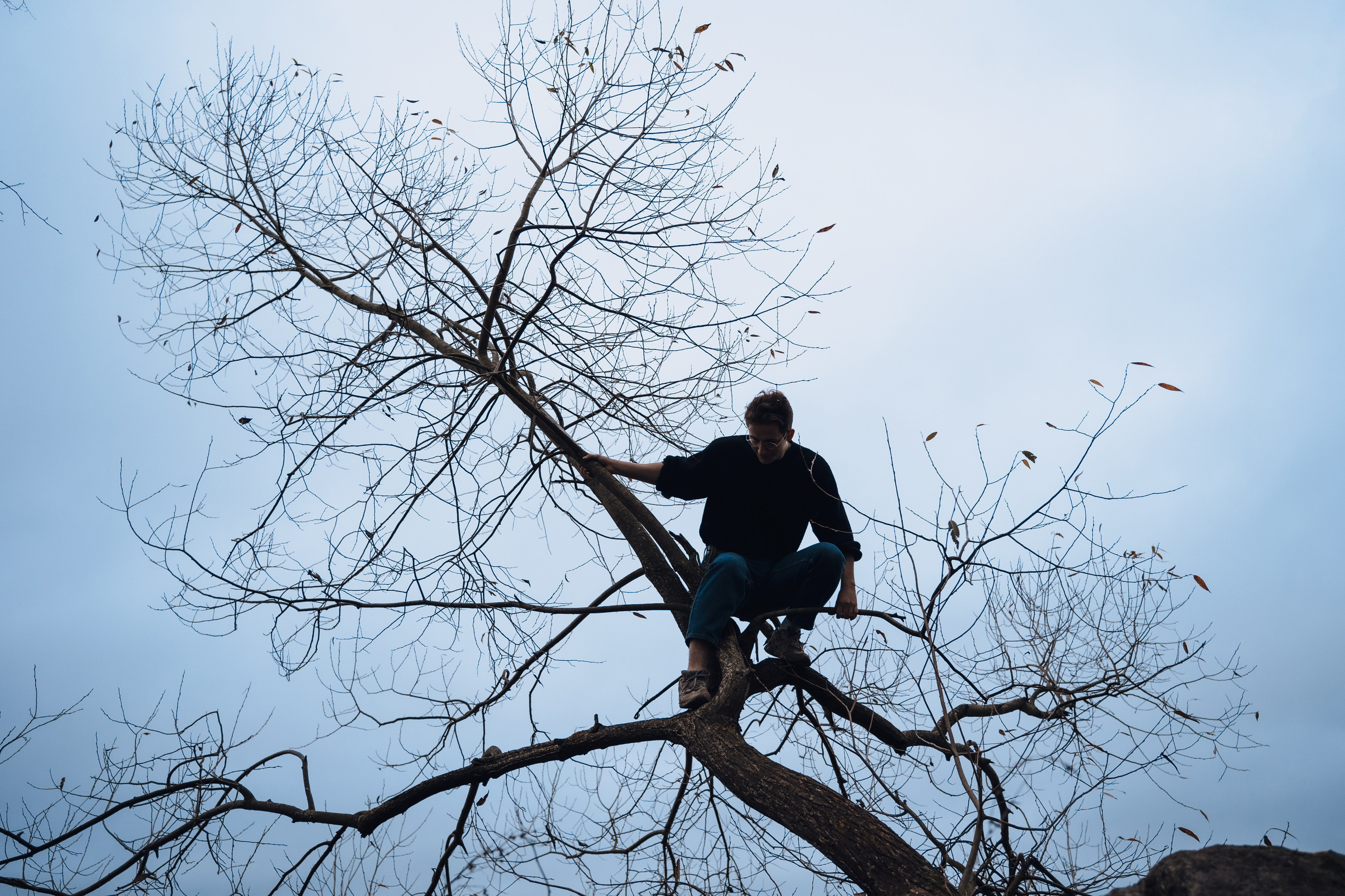 Бекстейдж «‎Бенуа»