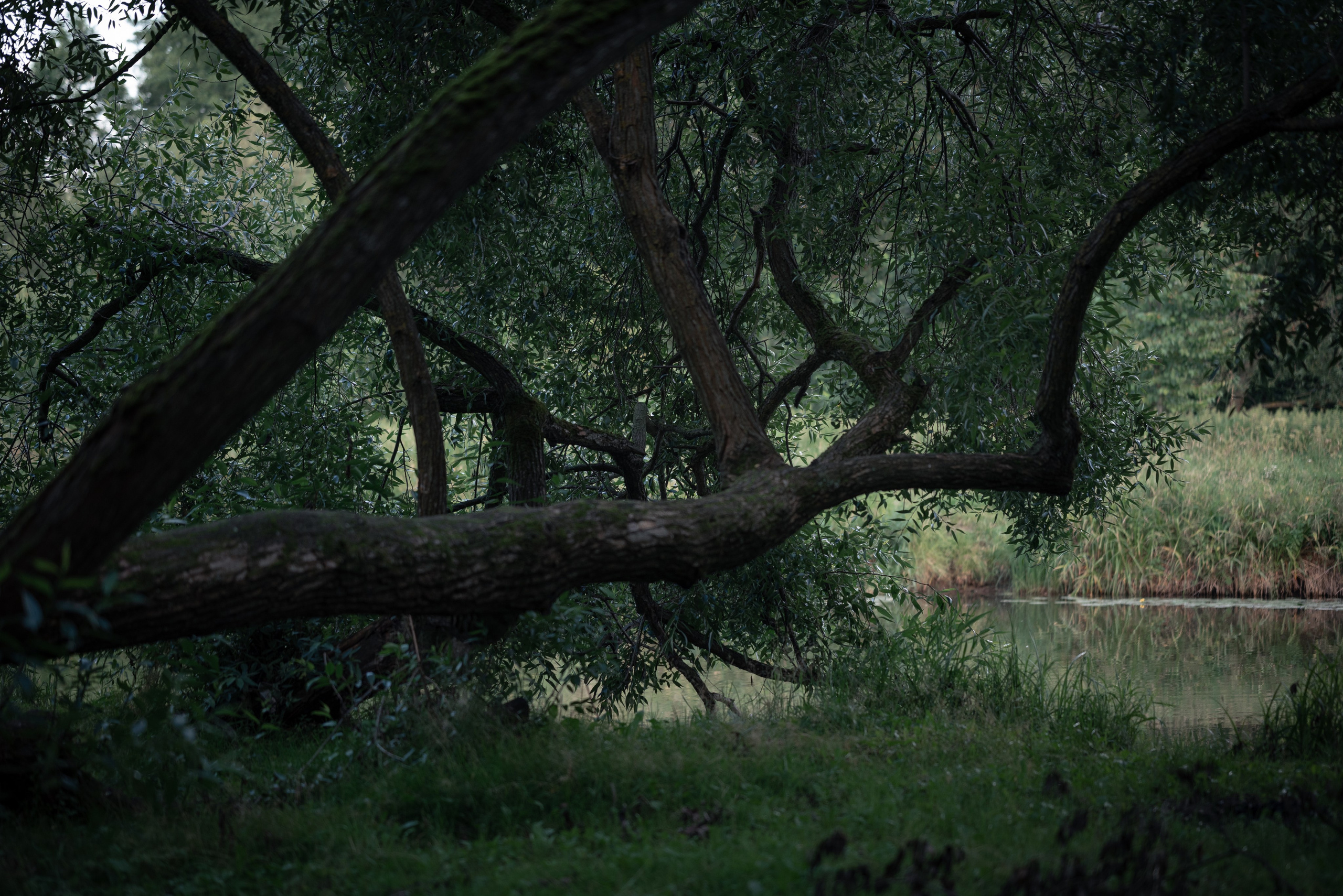 Места. Фотограф в Минске Дарья Кончакова