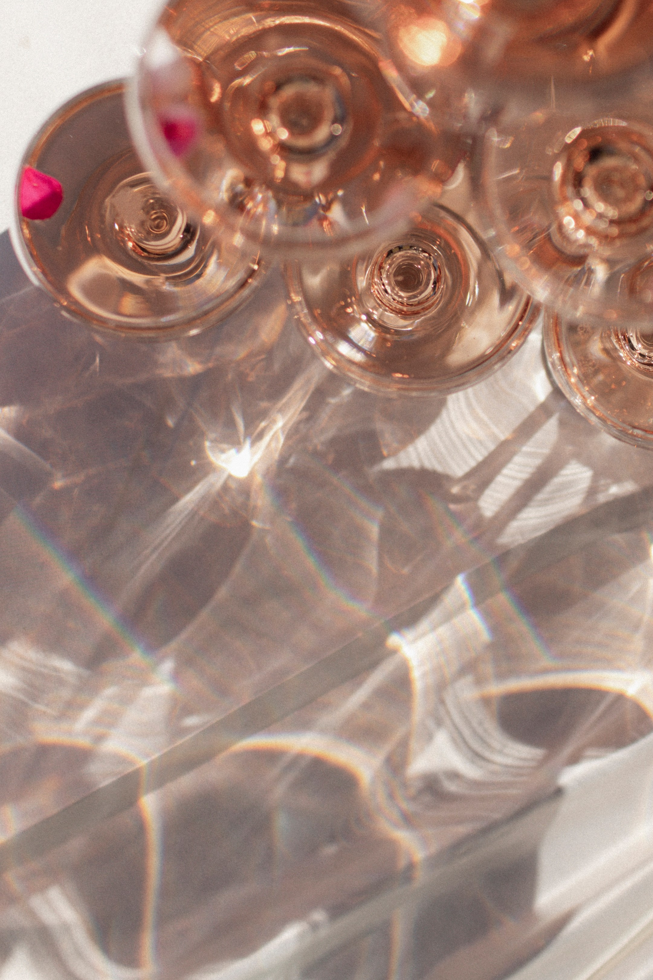 Весь мир — фон для любви. Свадебный фотограф в Севастополе и Крыму. Видеограф на свадьбу Крым, Севастополь, Ялта, Симферополь