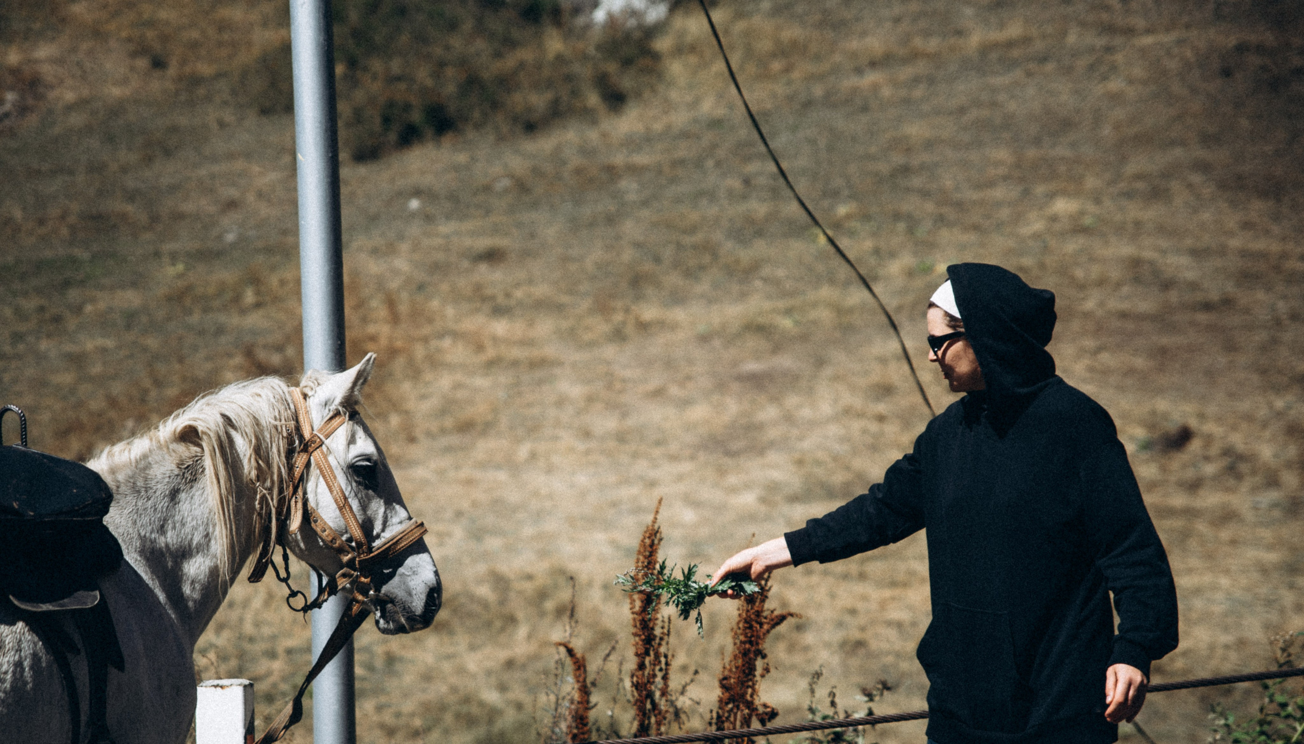 Джута, Грузия 🇬🇪 «Honey Trip». Anita_photo