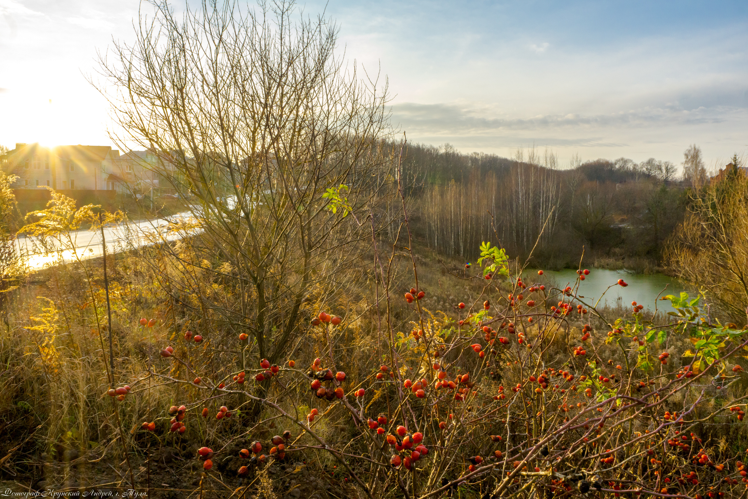 Осень в поселке Басово-Прудный и деревне Старое Басово г. Тула. Фотограф в Туле Крупский АнДРей. Фотостудия «КАДР71» в Туле