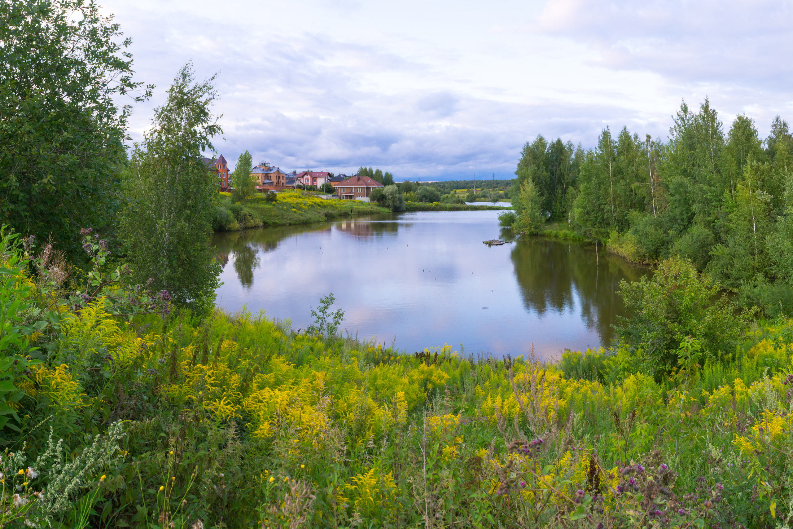 Лето в поселке Басово-Прудный и деревне Старое-Басово. Фотограф в Туле Крупский АнДРей. Фотостудия «КАДР71» в Туле