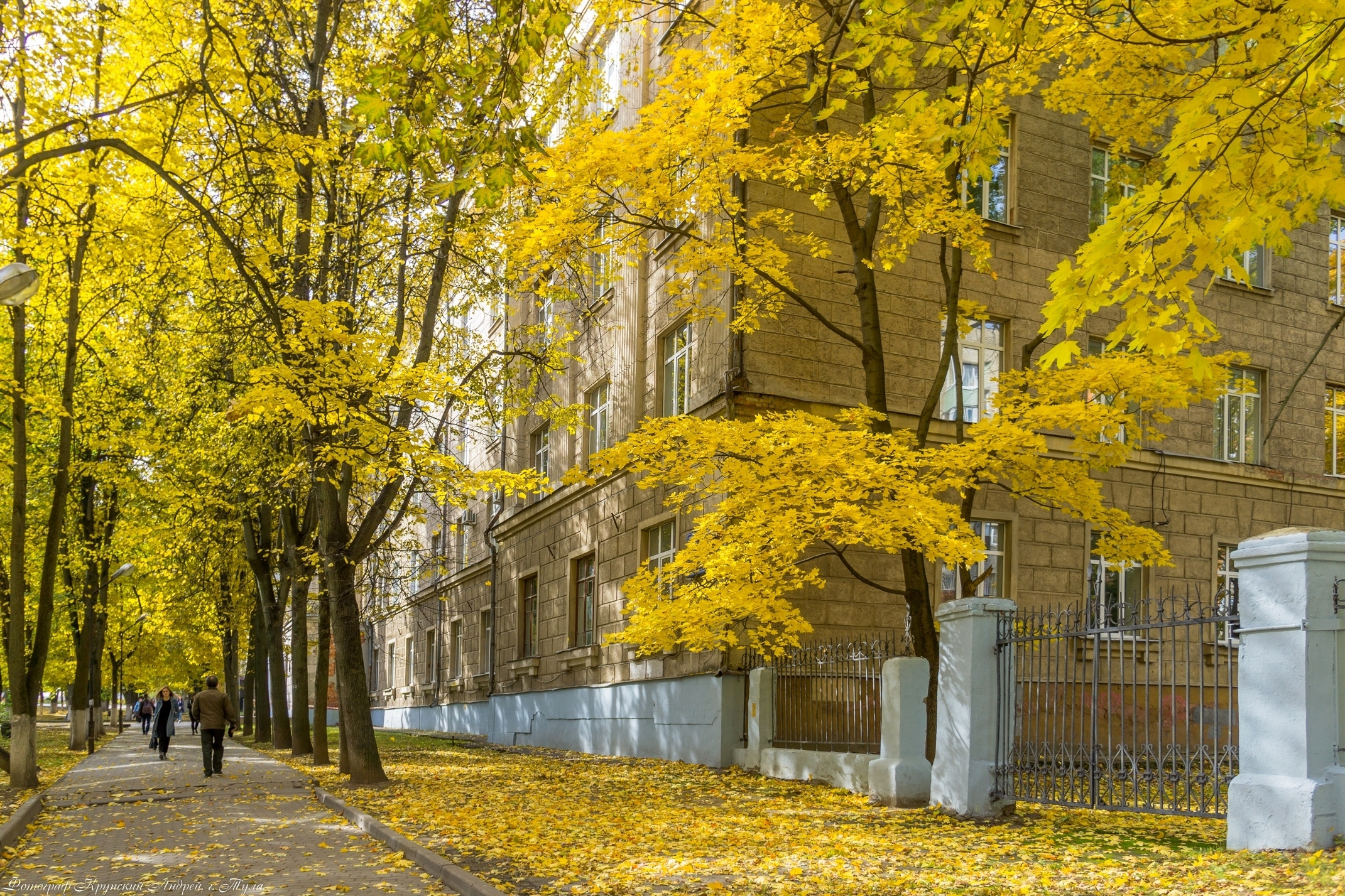 Золотая осень в Туле. Фотограф в Туле Крупский АнДРей. Фотостудия «КАДР71» в Туле