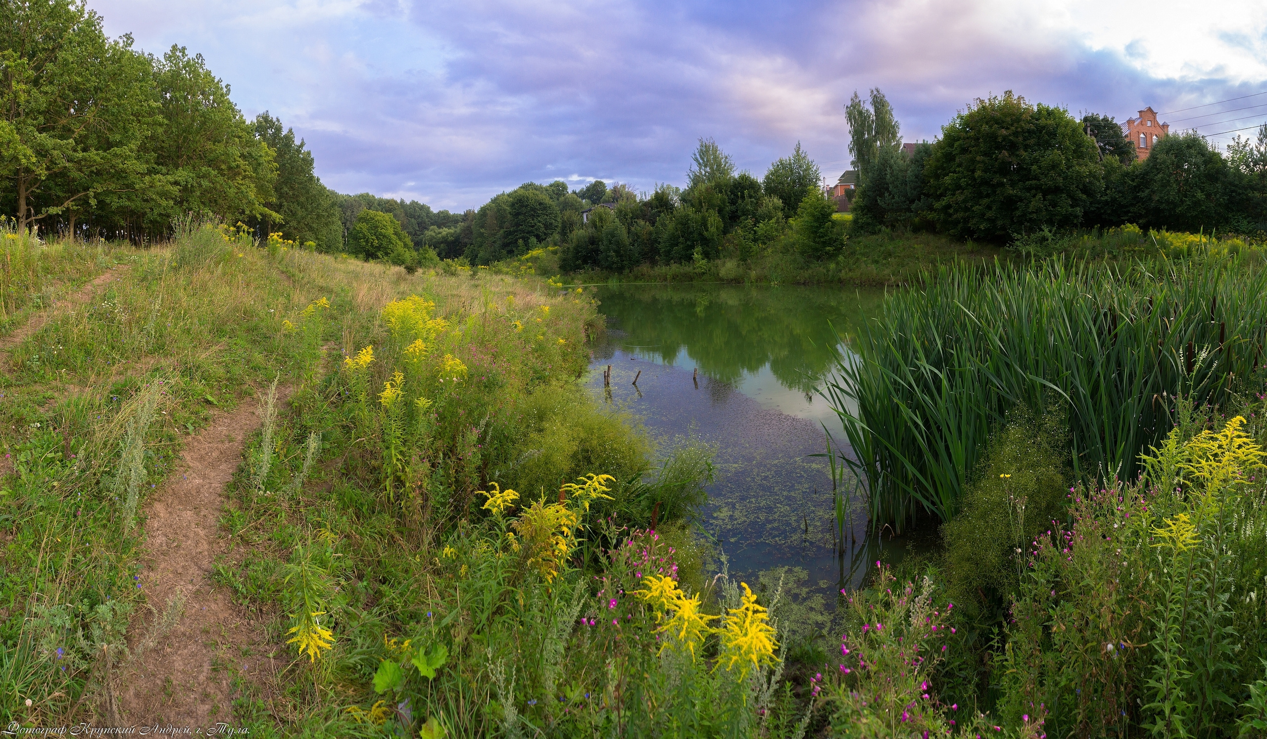 Лето в поселке Басово-Прудный и деревне Старое-Басово. Фотограф в Туле Крупский АнДРей. Фотостудия «КАДР71» в Туле