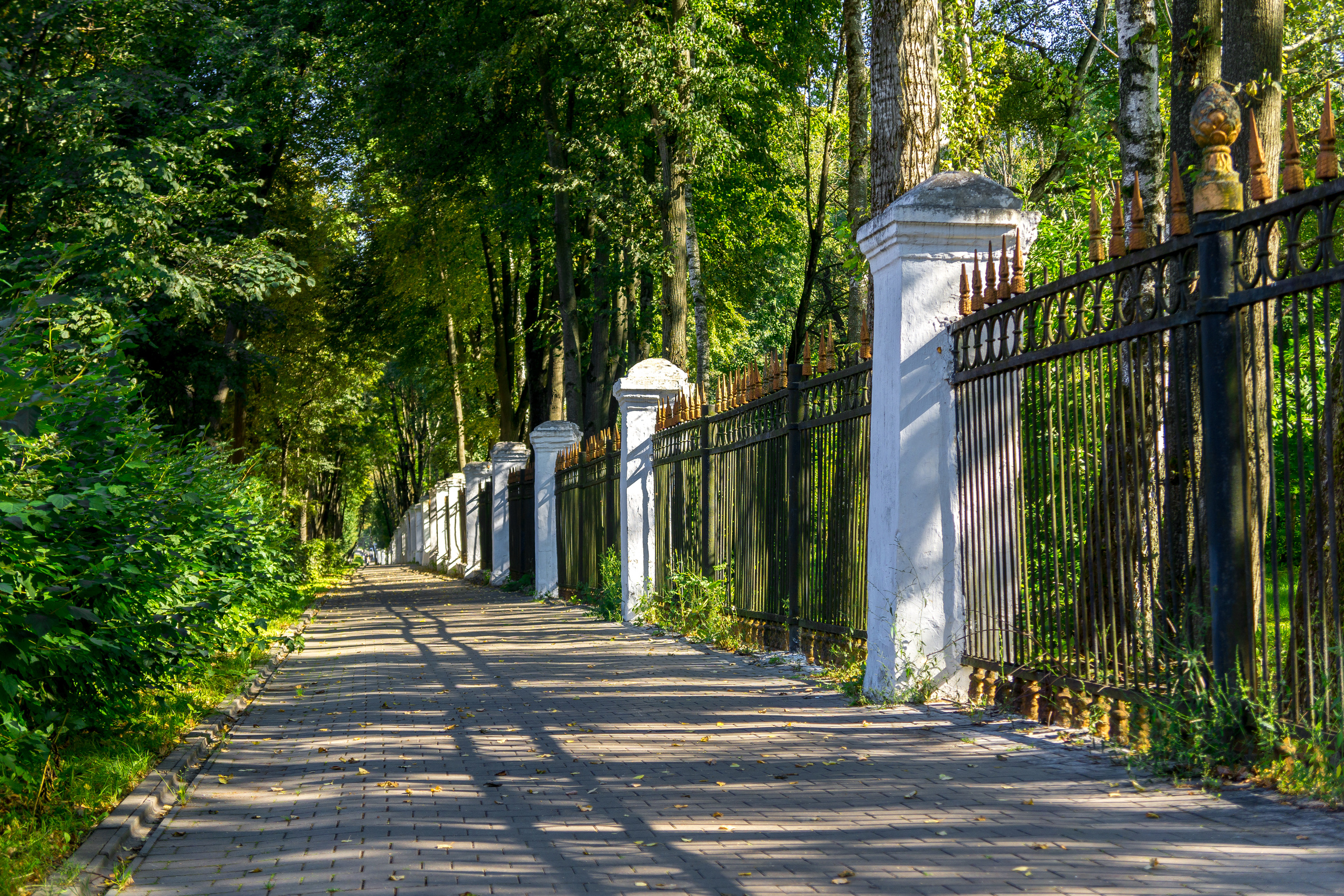 Центральный парк культуры и отдыха им. П. П. Белоусова. Фотограф в Туле Крупский АнДРей. Фотостудия «КАДР71» в Туле
