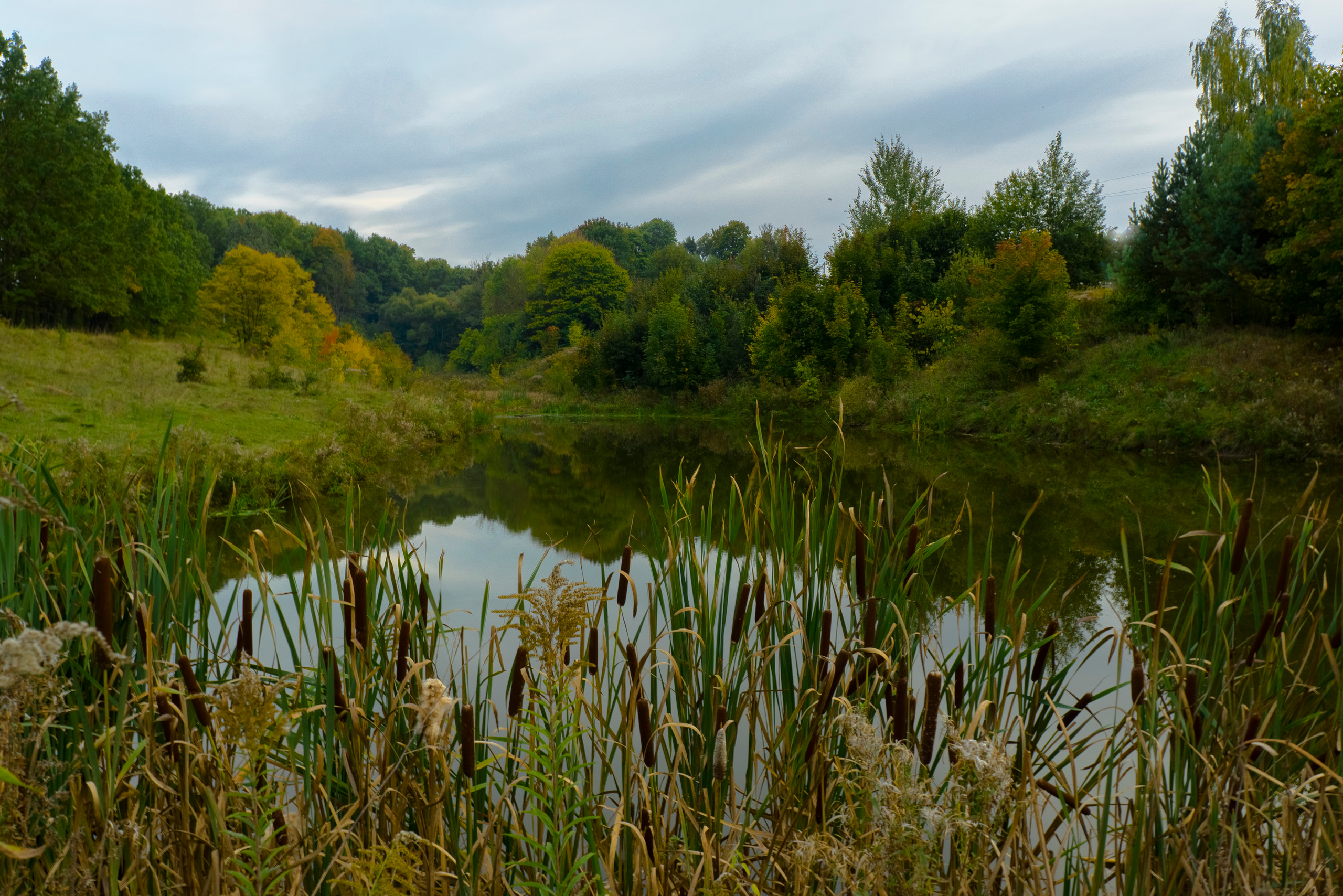 Лето в поселке Басово-Прудный и деревне Старое-Басово. Фотограф в Туле Крупский АнДРей. Фотостудия «КАДР71» в Туле