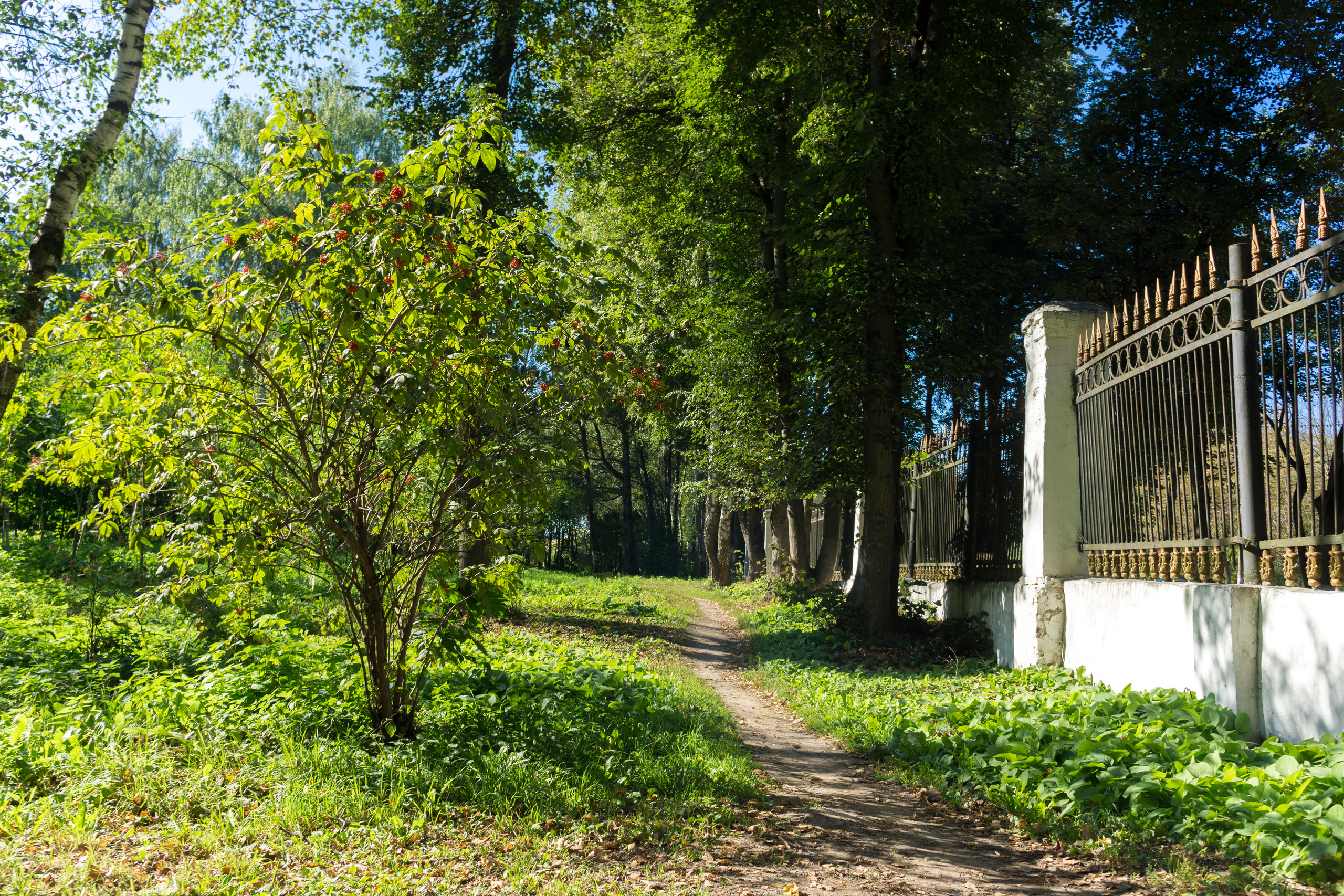 Центральный парк культуры и отдыха им. П. П. Белоусова. Фотограф в Туле Крупский АнДРей. Фотостудия «КАДР71» в Туле