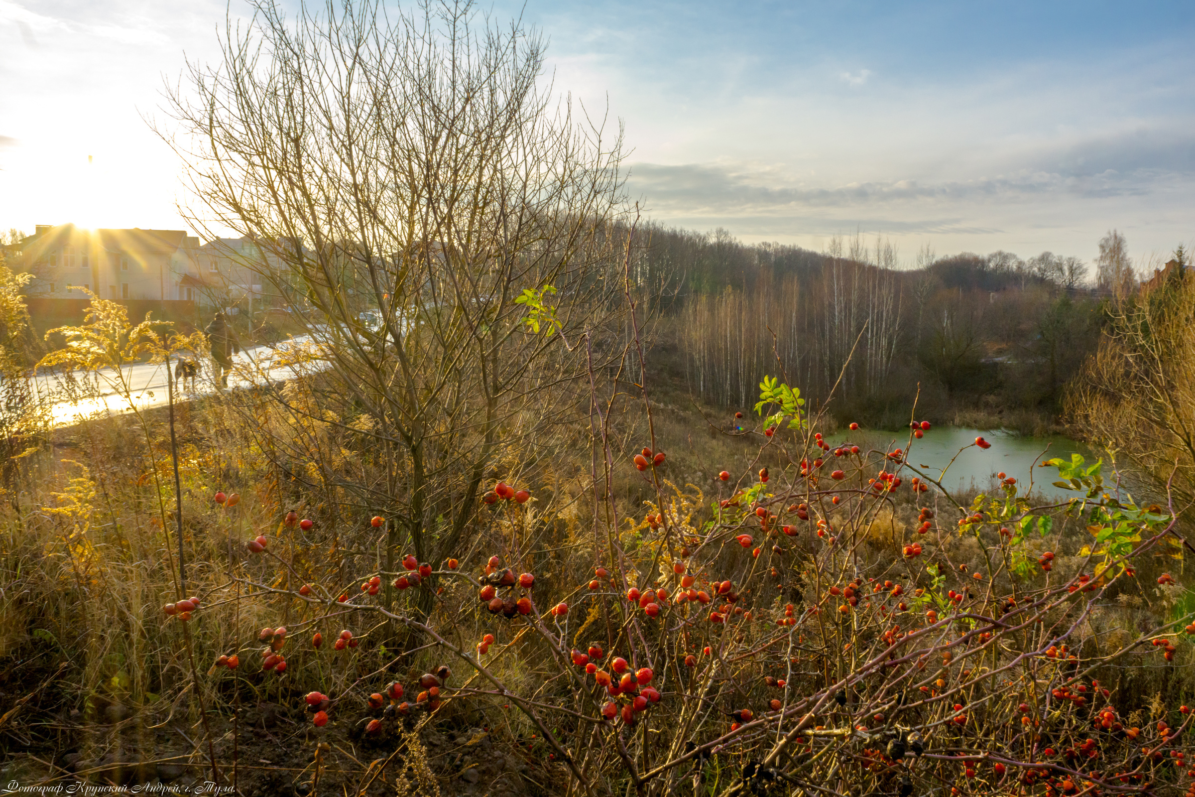 Осень в поселке Басово-Прудный и деревне Старое Басово г. Тула. Фотограф в Туле Крупский АнДРей. Фотостудия «КАДР71» в Туле