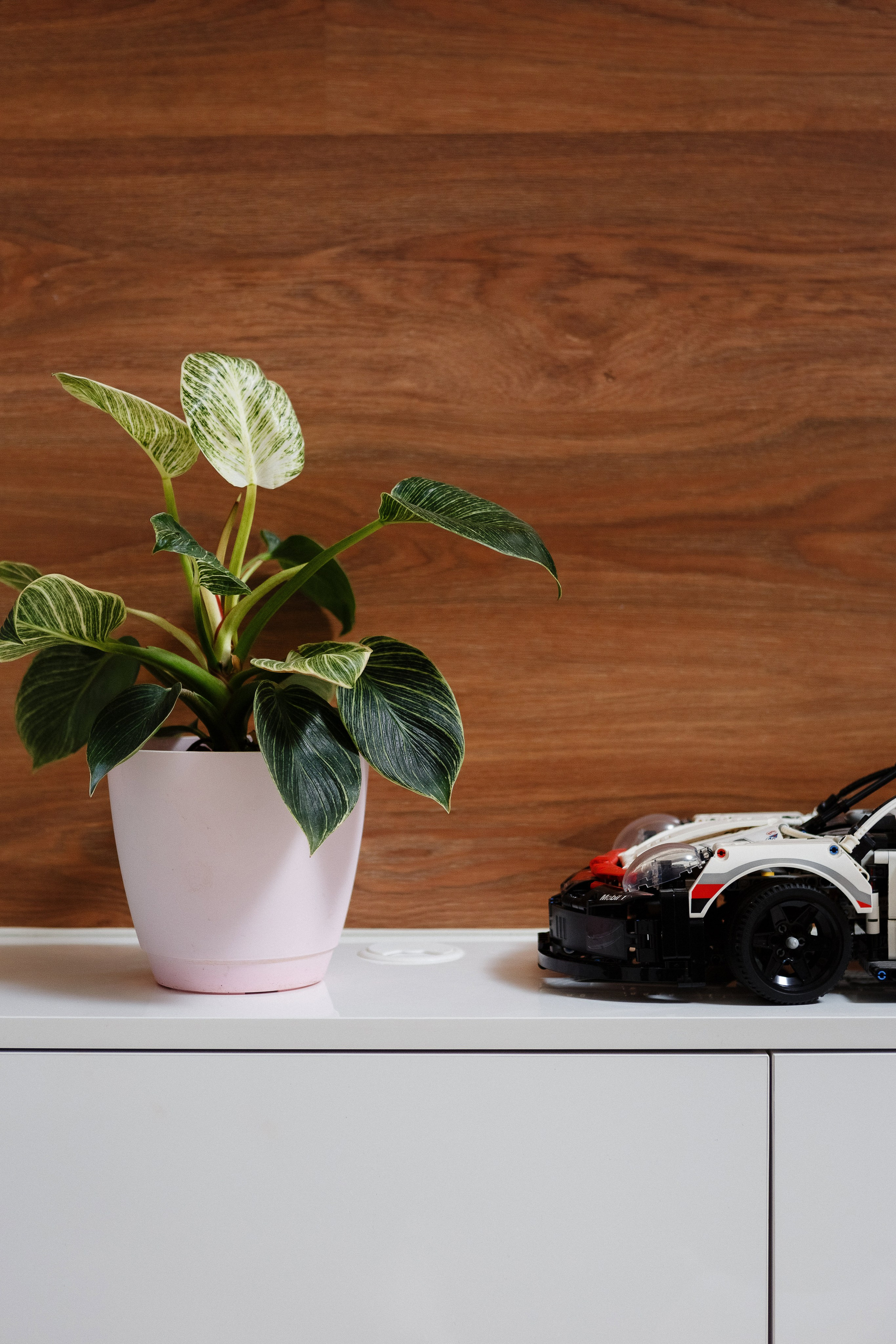 Фотографии недвижимости в Таганроге: Взгляд профессионала от фотографа. Свадебный и семейный фотограф в Таганроге Бакарюк Антон