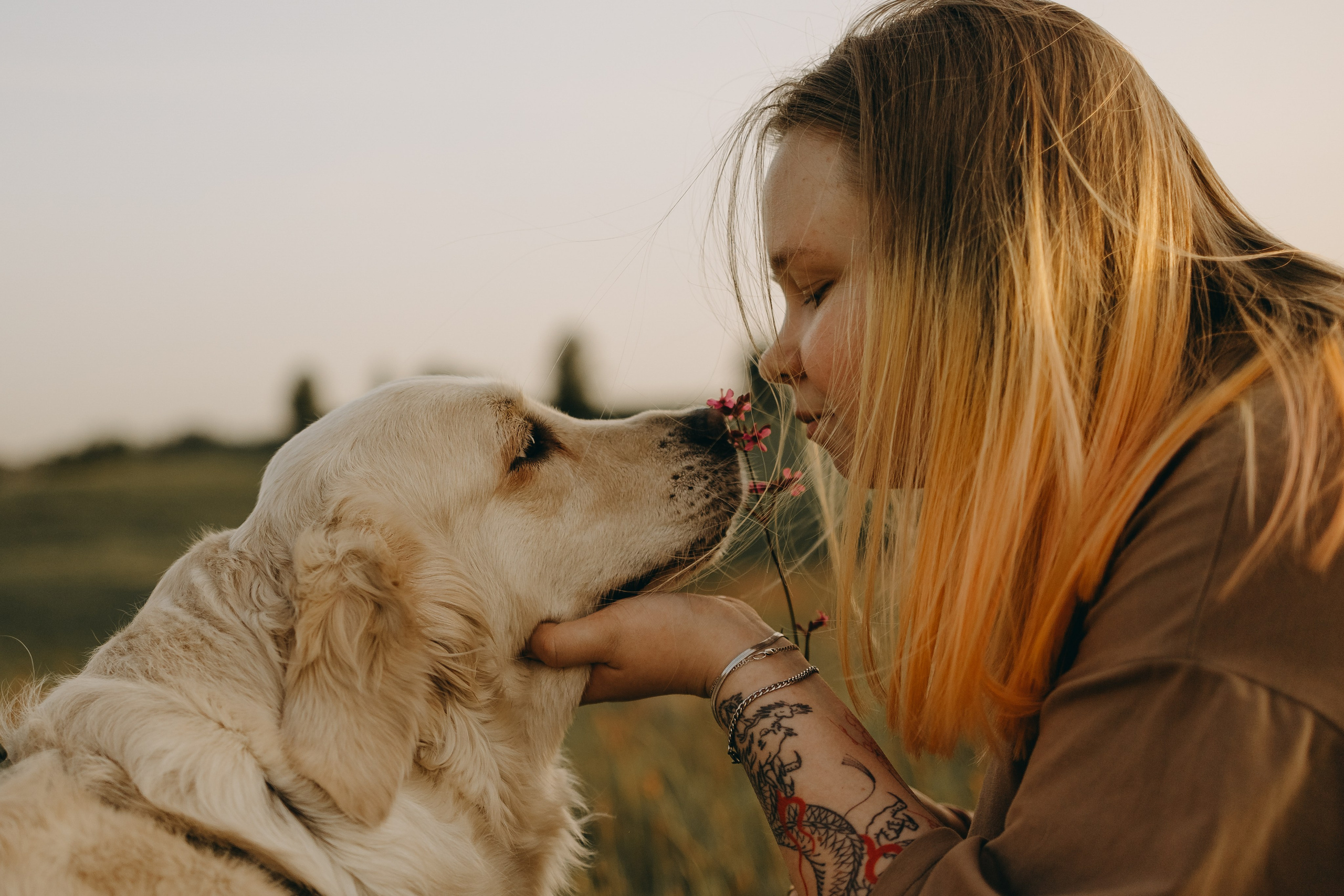 Милка и ребята. Фотограф — Анималист | Санкт-Петербург