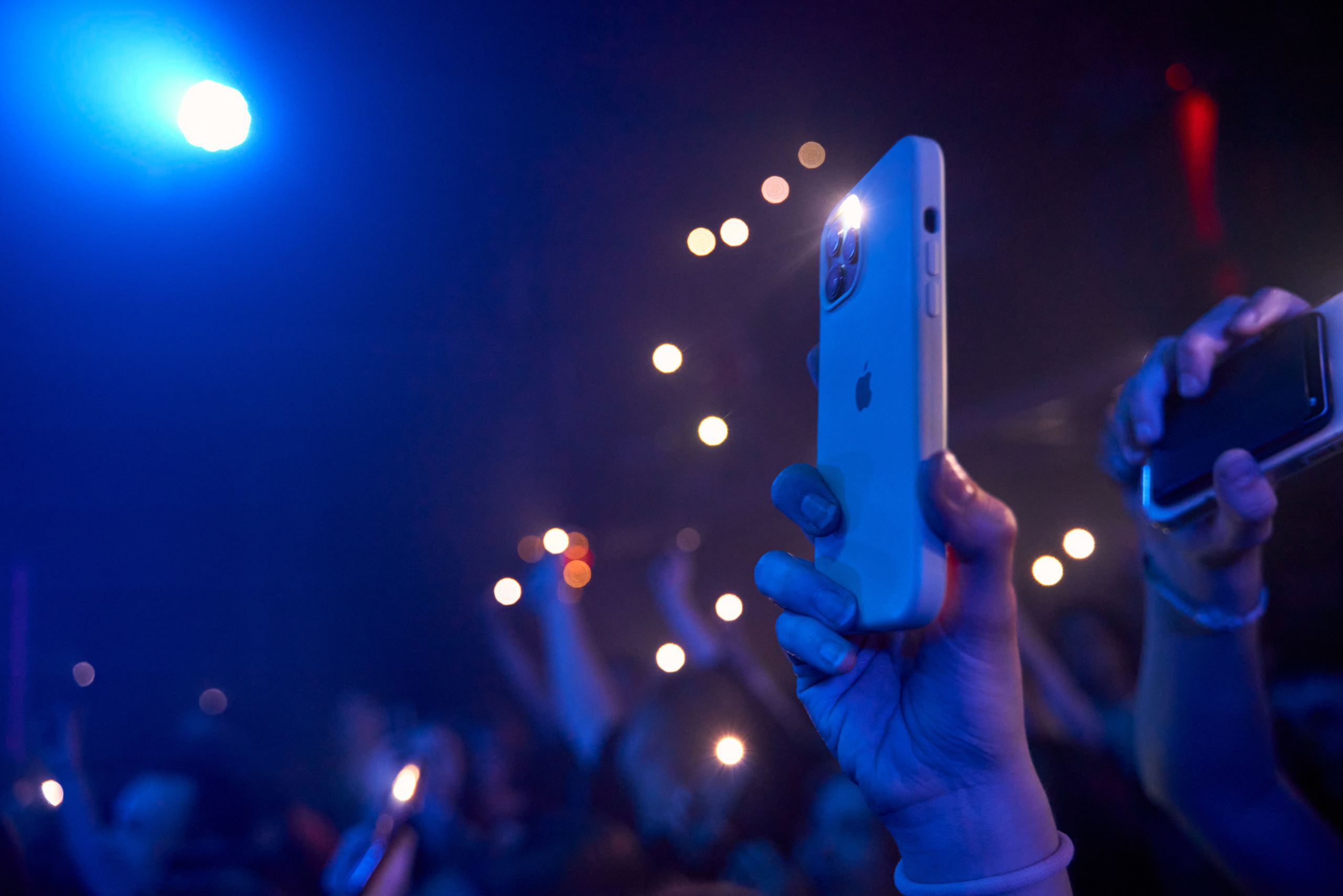 Форест Фаер, Санкт-Петербург, Ласточка. 13 апреля 2024. Лена Монахова — портретный и концертный фотограф в Санкт-Петербурге