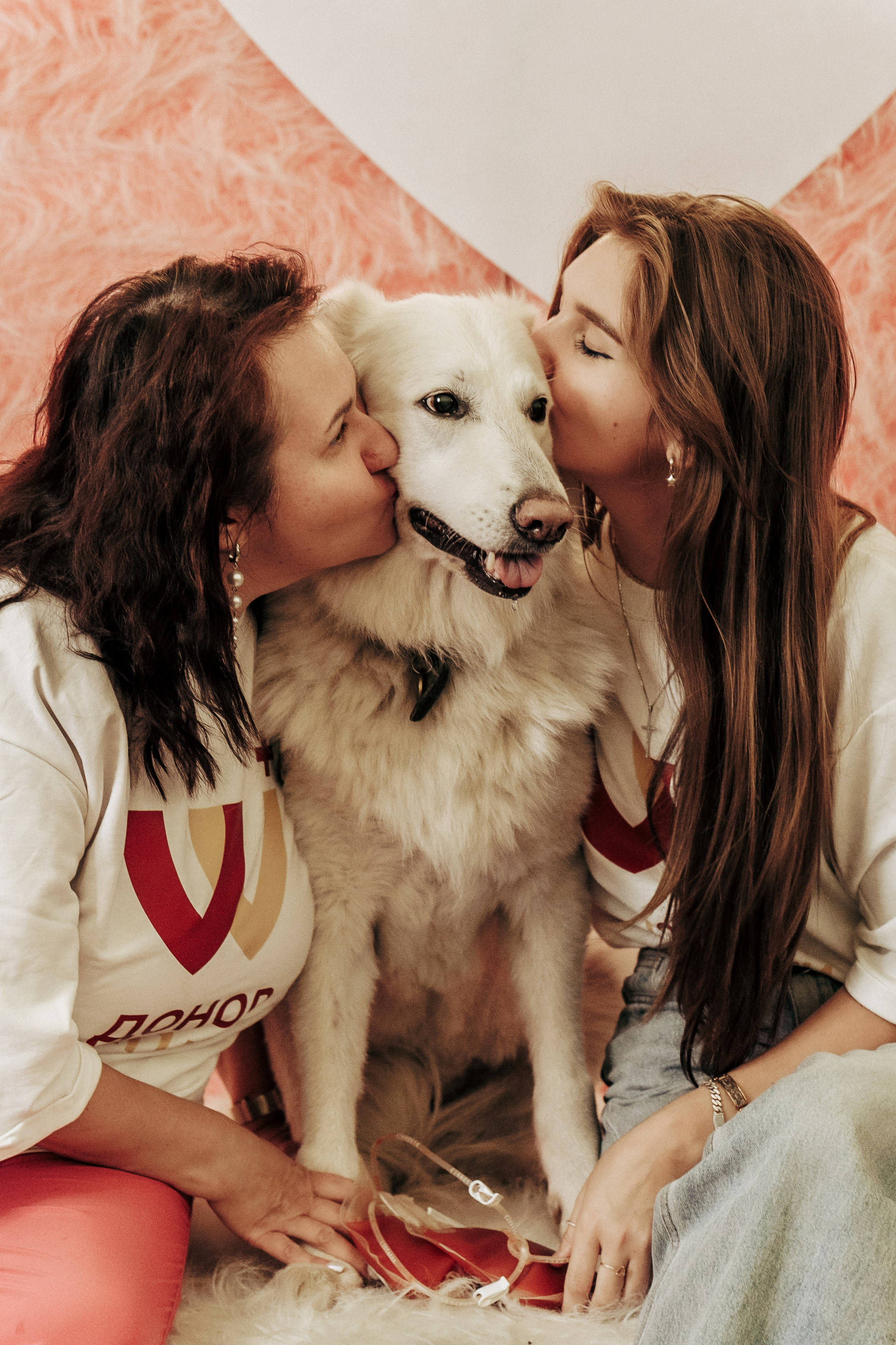 Репортажная фотосессия «День питомца-донора». Профессиональный фотограф в Санкт-Петербурге Александр Волосенцев