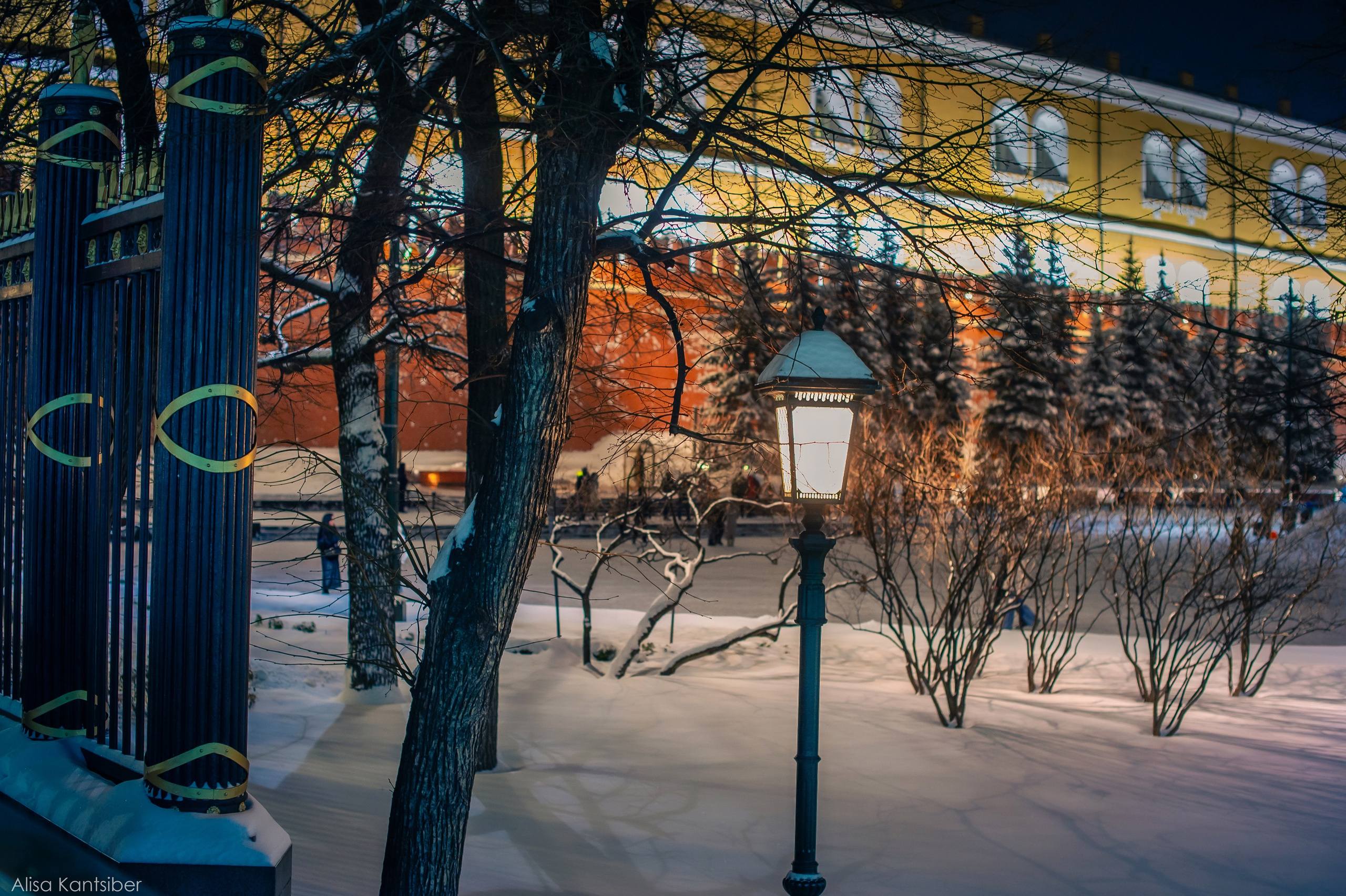 Надя. Фотограф Алиса Канцибер. Москва. Портрет, семейное фото, свадьбы