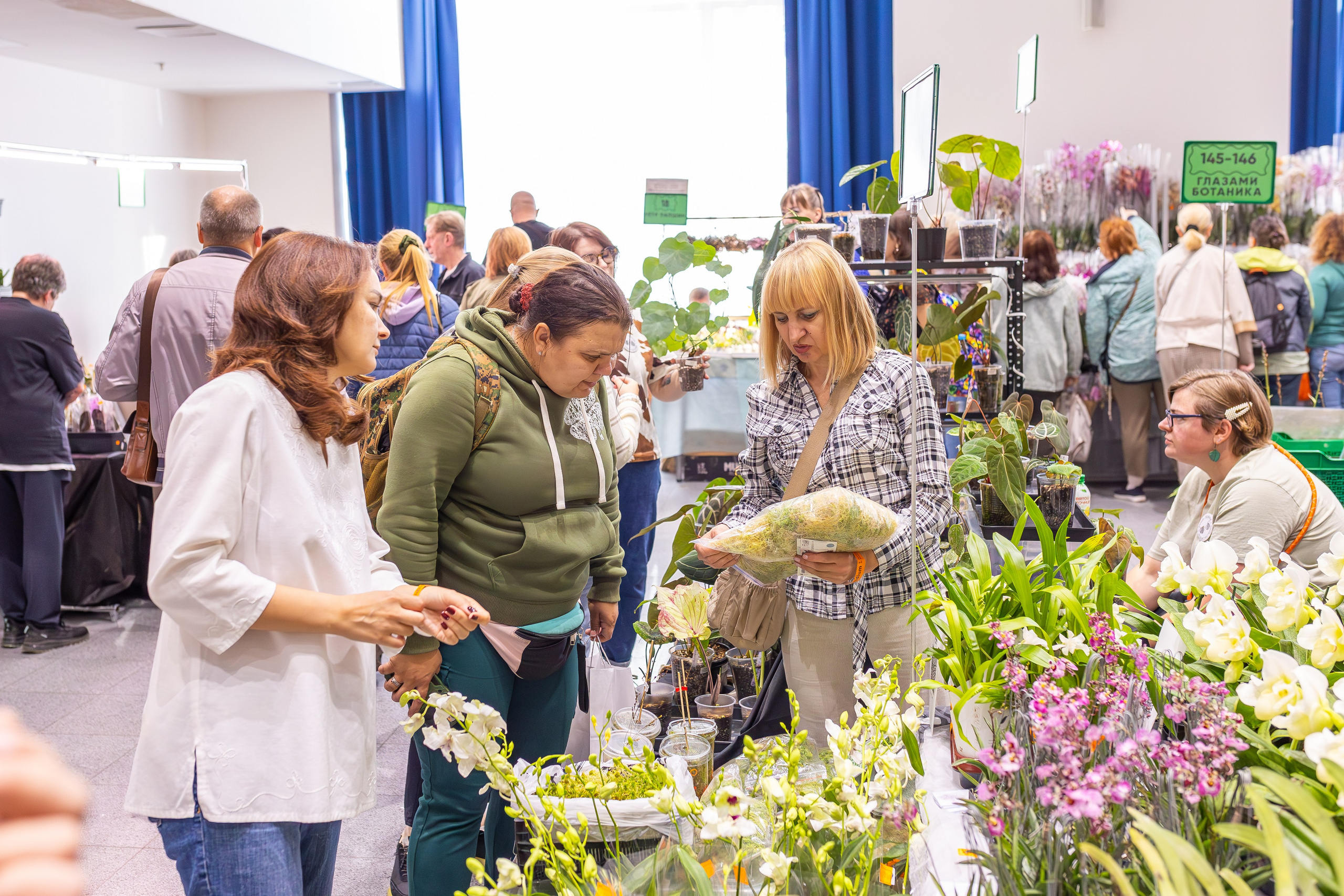 Орхидиум сентябрь 2025. Александра Куликова фотограф, Москва