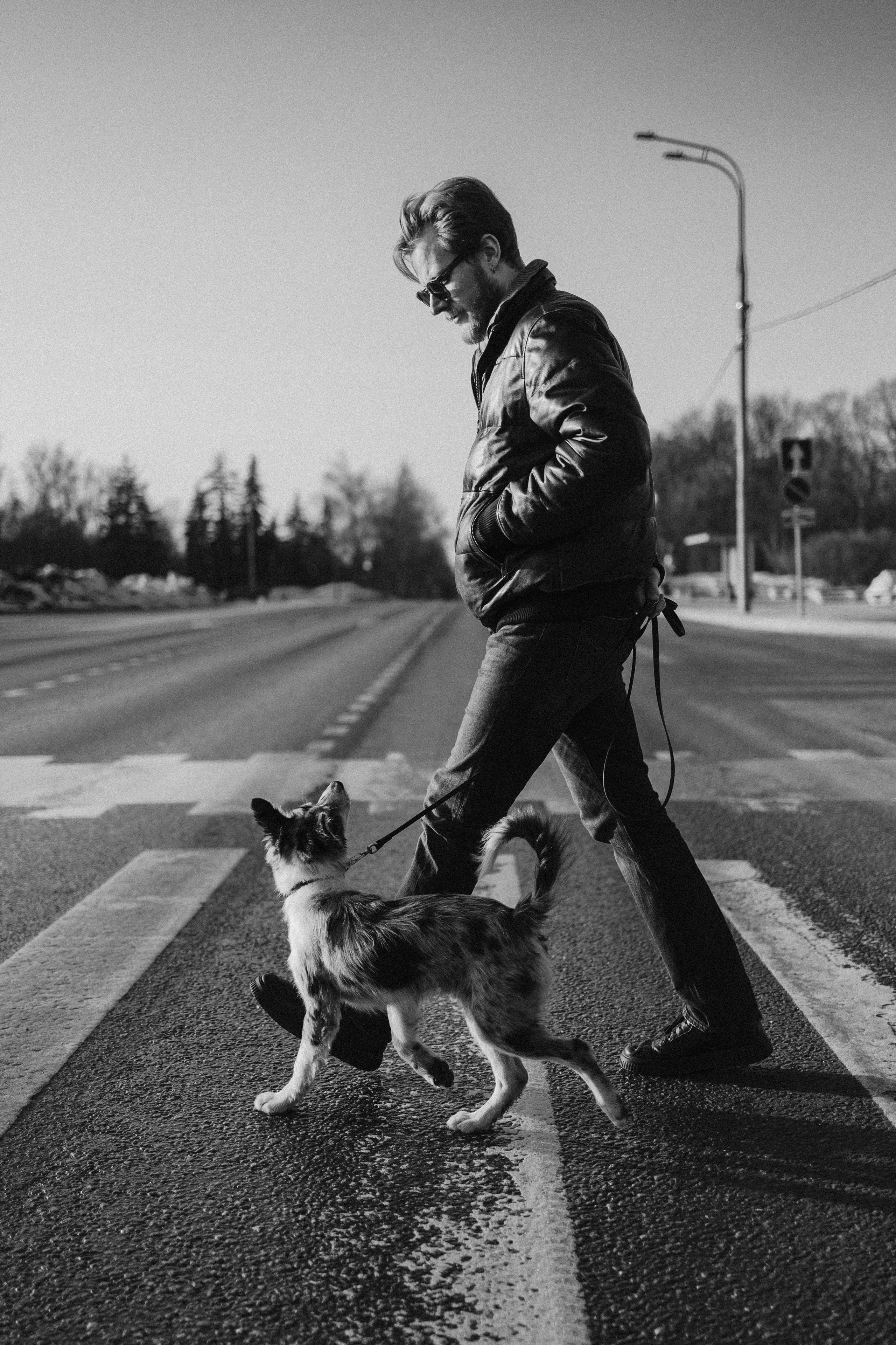 Балу и Илья. Фотограф анималист Анастасия Пикей