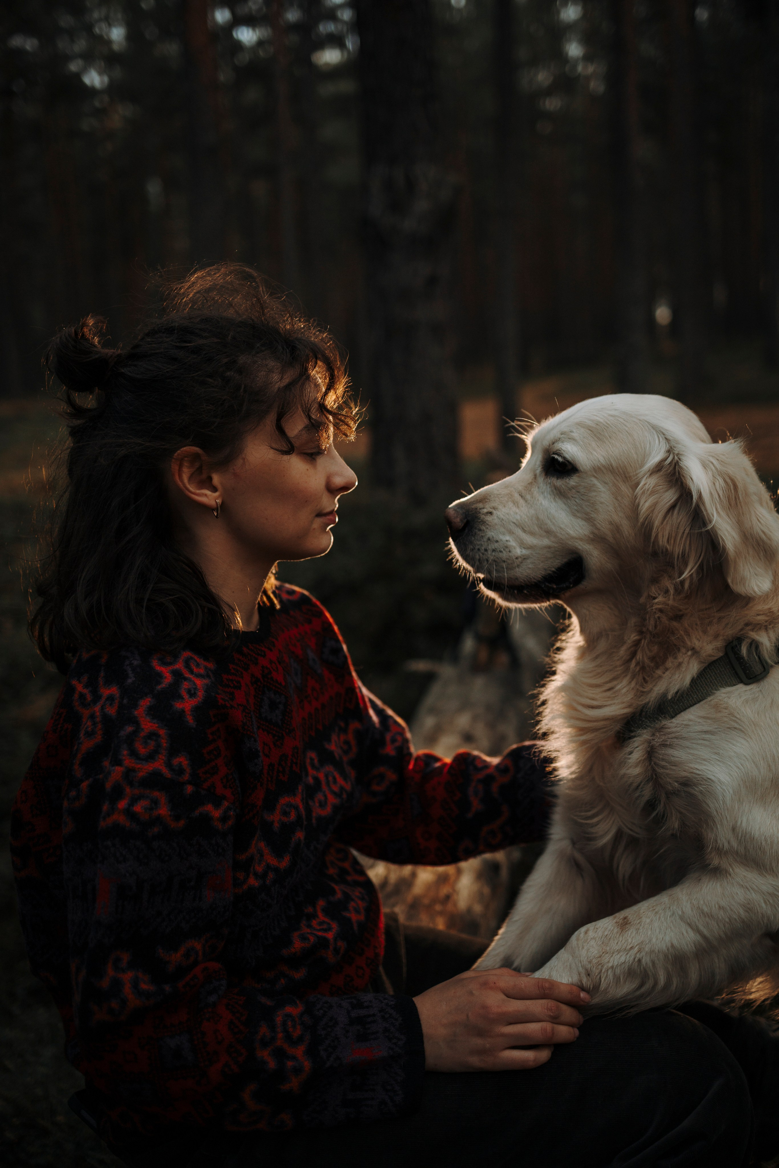 Прогулка Насти с Арчи и Арагоном. Фотограф-анималист в Санкт-Петеребурге Титова Алиса
