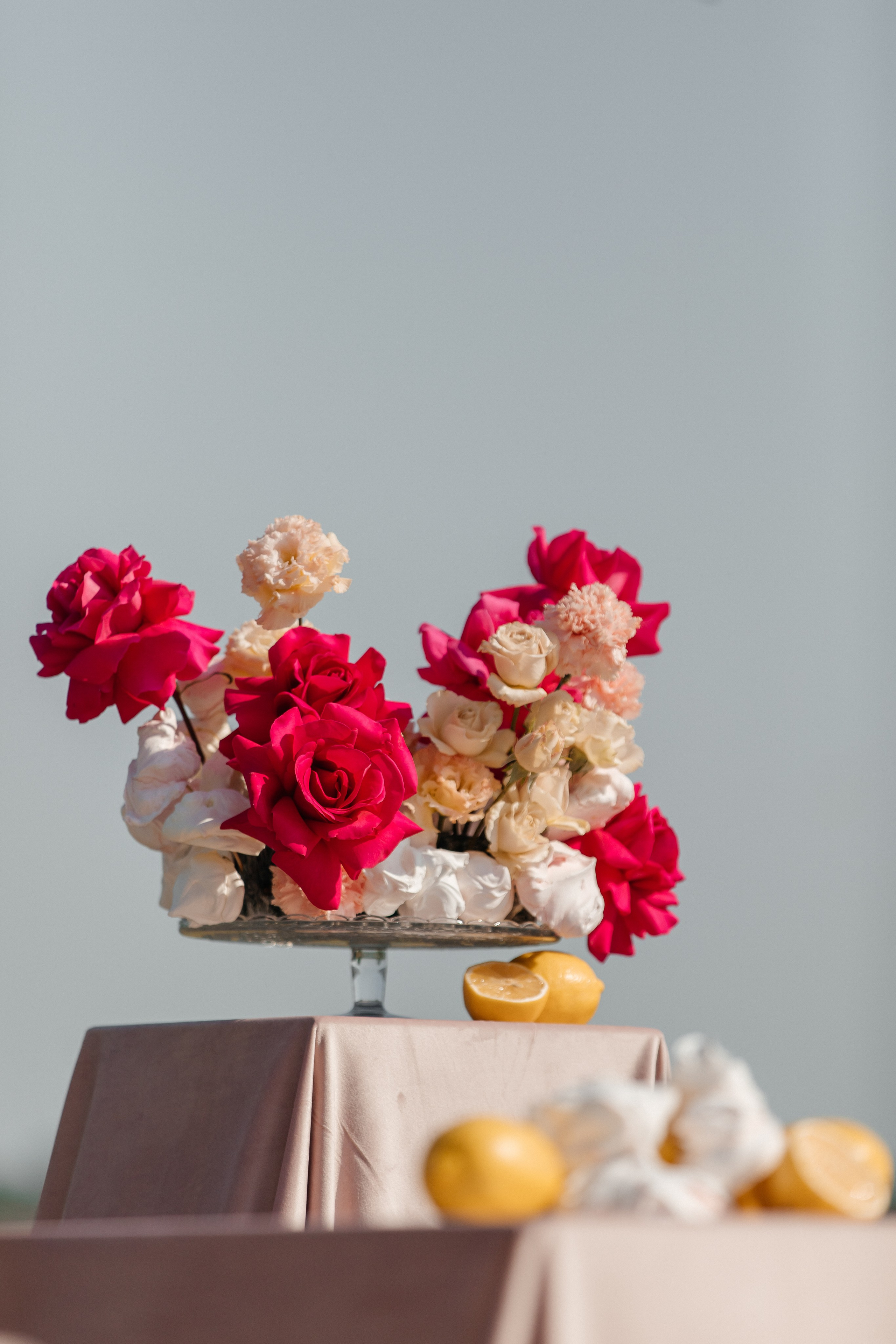 D&X. Фотограф Таганрог Хребет София