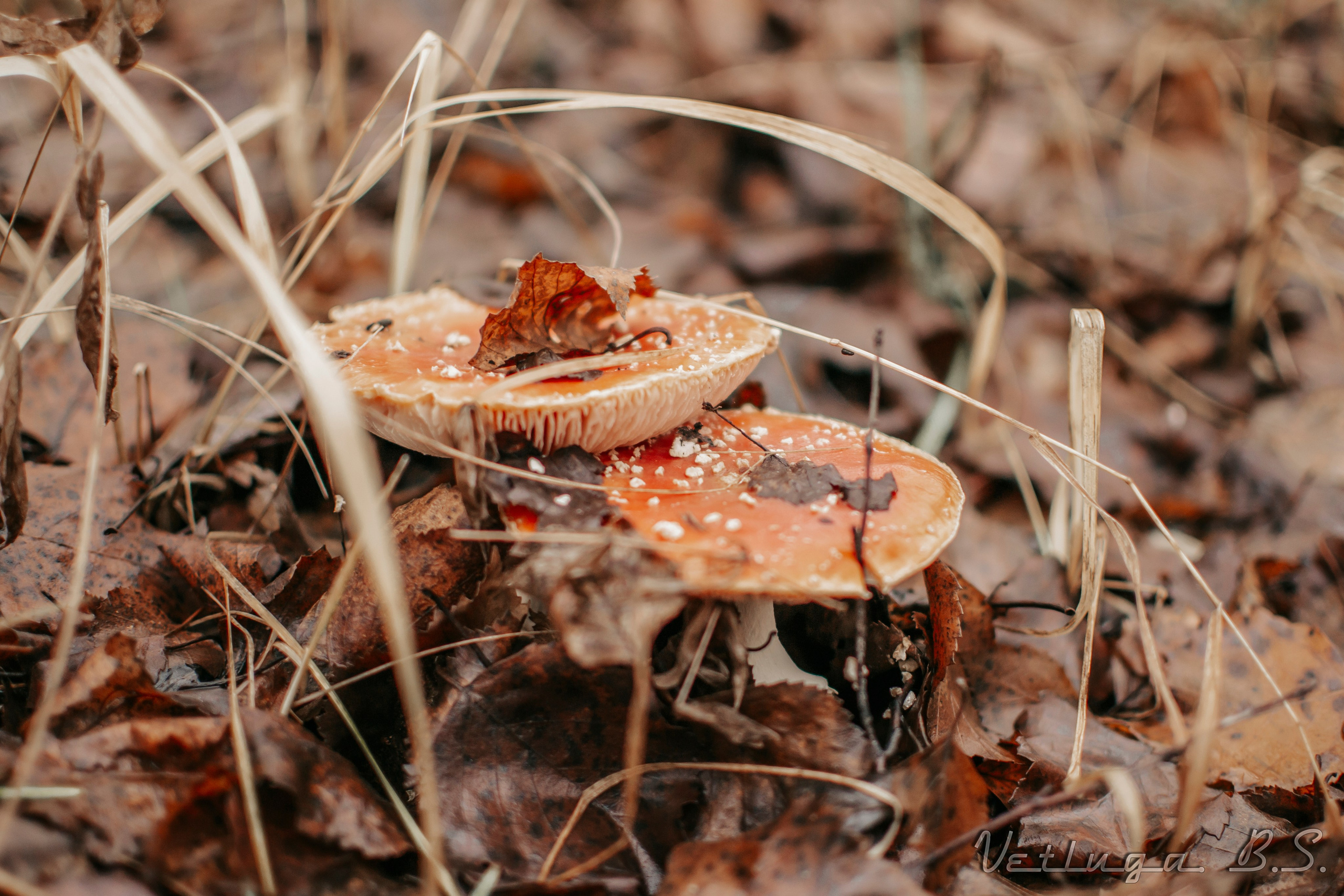 Поход 2. Фотограф в Ветлуге Сергей Белов (VETLUGA B.S.)