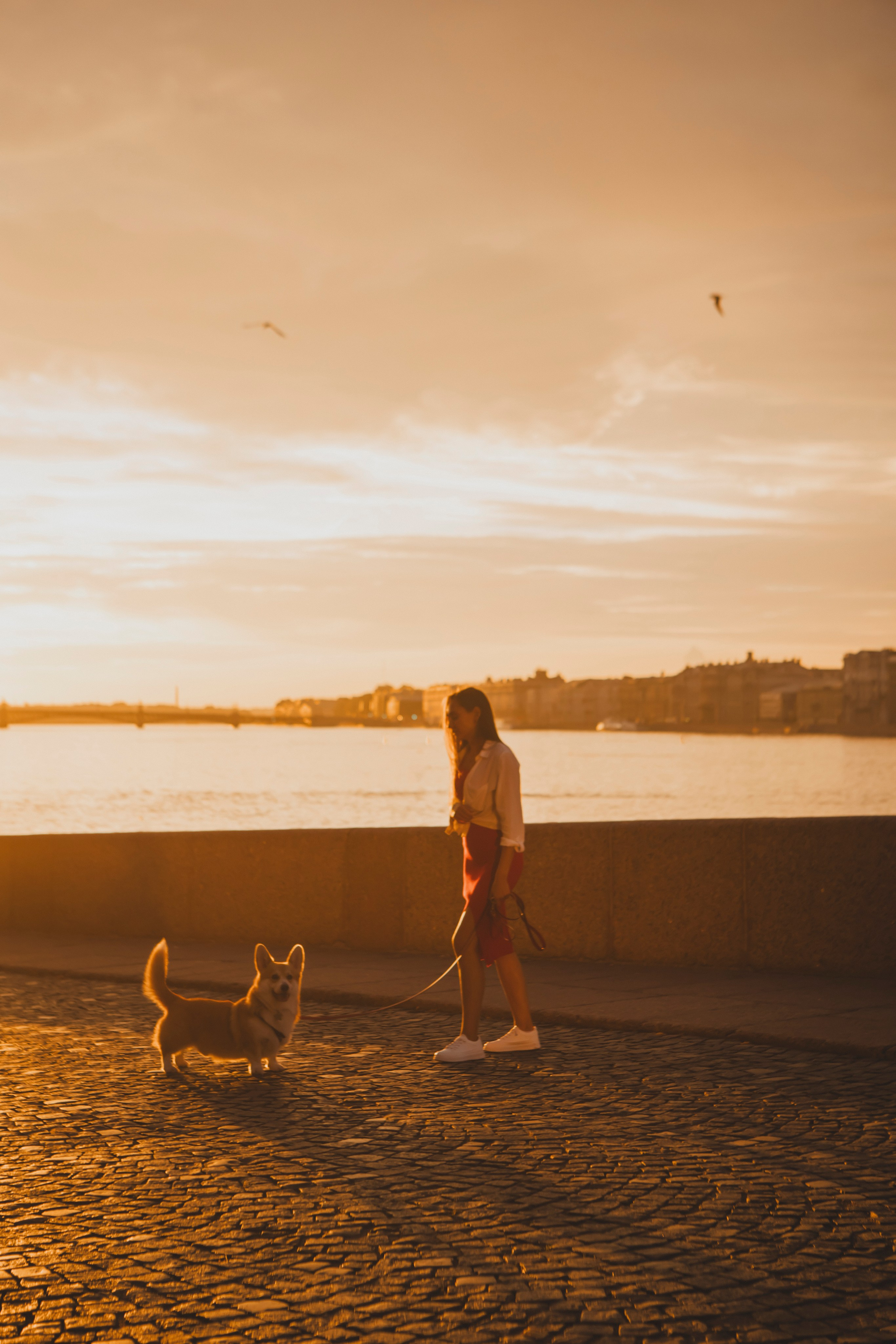 Настя и Стёпа. Фотограф-анималист в Санкт-Петербурге Алина Яхонт